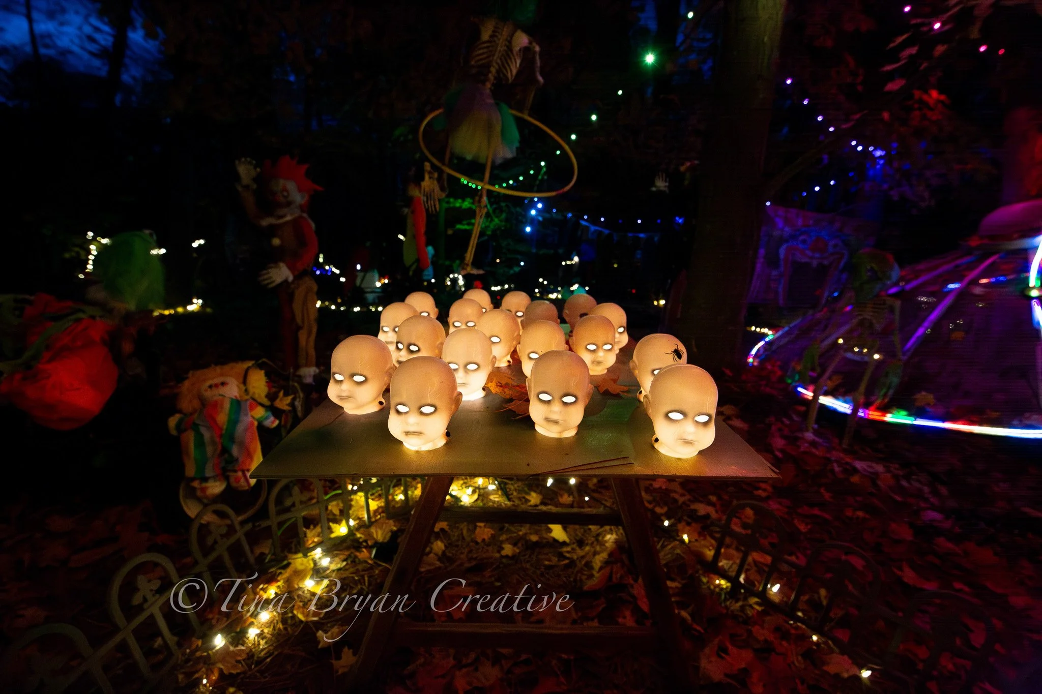 2025 Paula Willis & Family Celebration 10.12-165.jpg