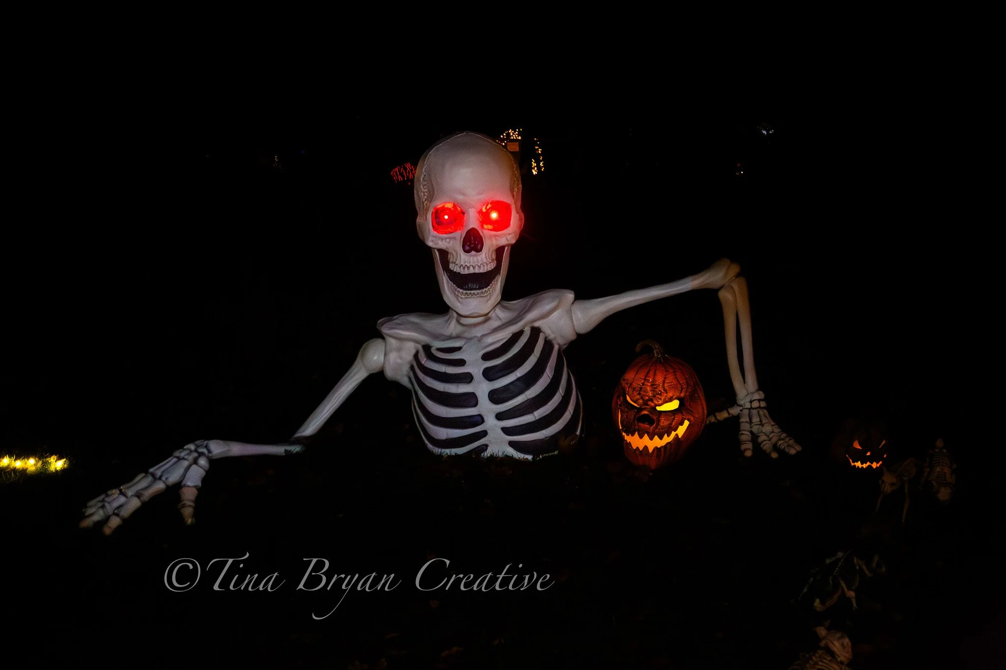 2025 Paula Willis & Family Celebration 10.12-167.jpg