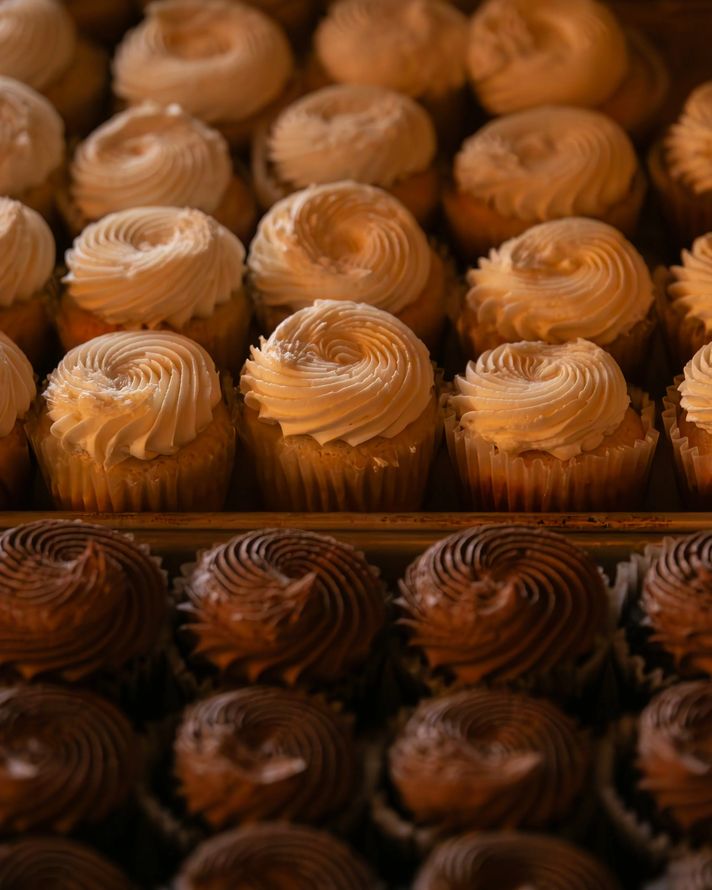 Thistle & Honey January 25, 2025 73.jpg