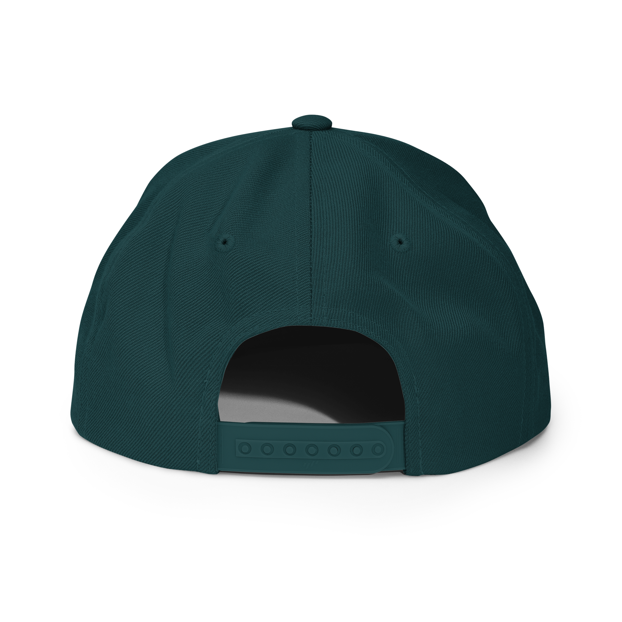 classic-snapback-spruce-back-6a18ce477cf6d.png