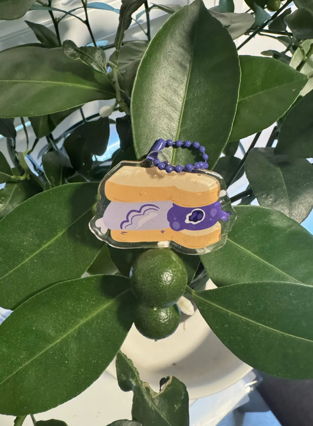 Charms || Bakery Bird Series