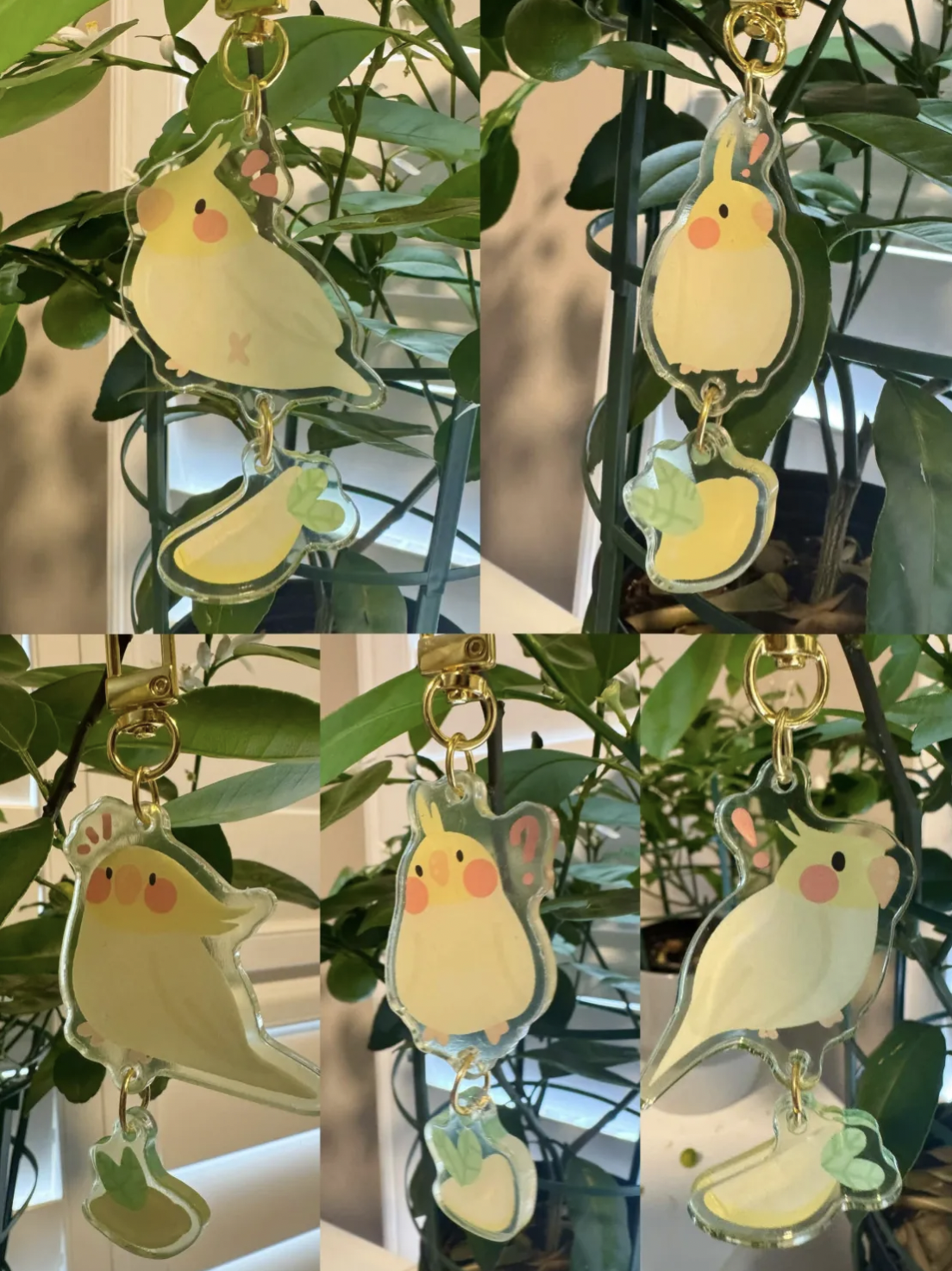 Charms || Lemon Bird Series