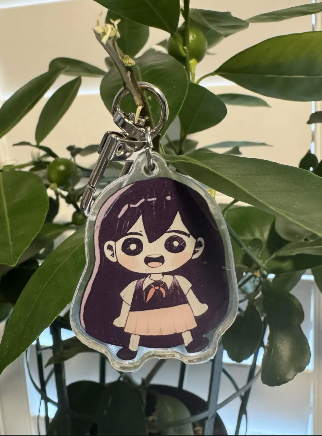 Charms || Dream World