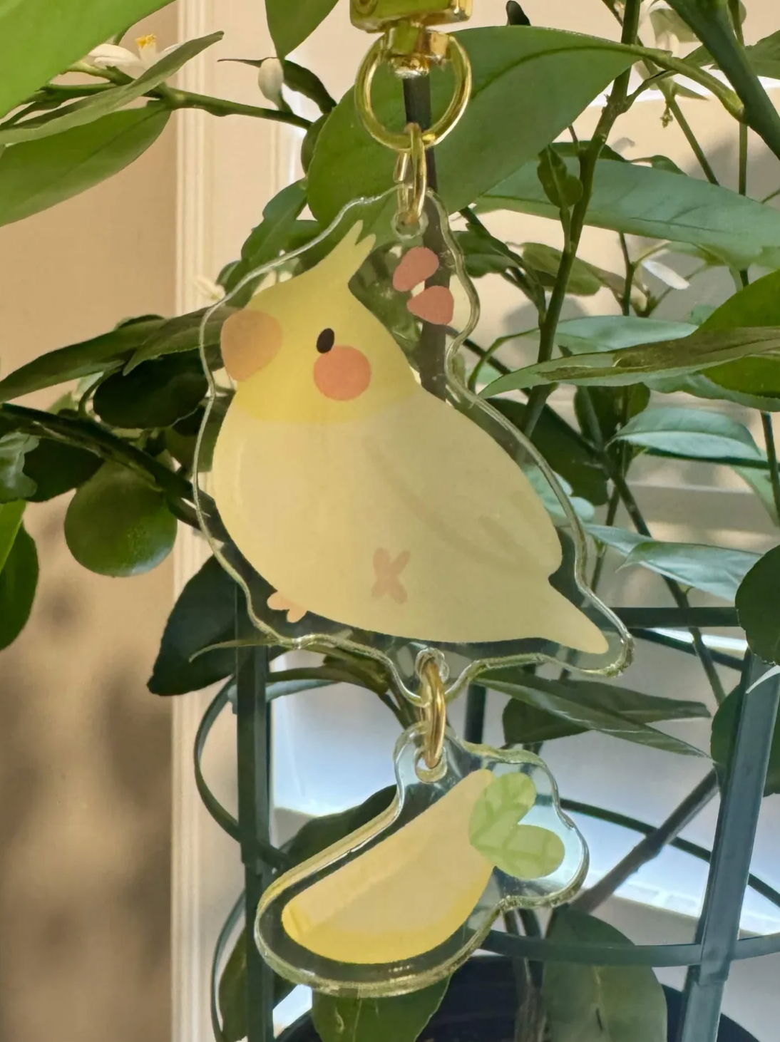Charms || Lemon Bird Series