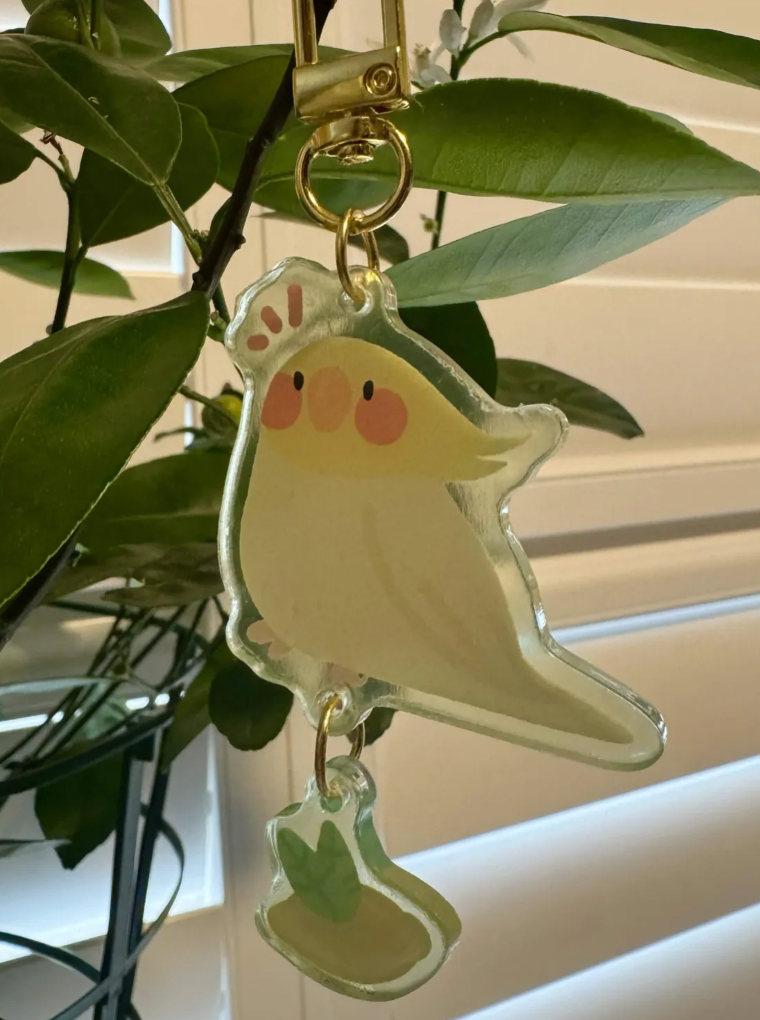 Charms || Lemon Bird Series
