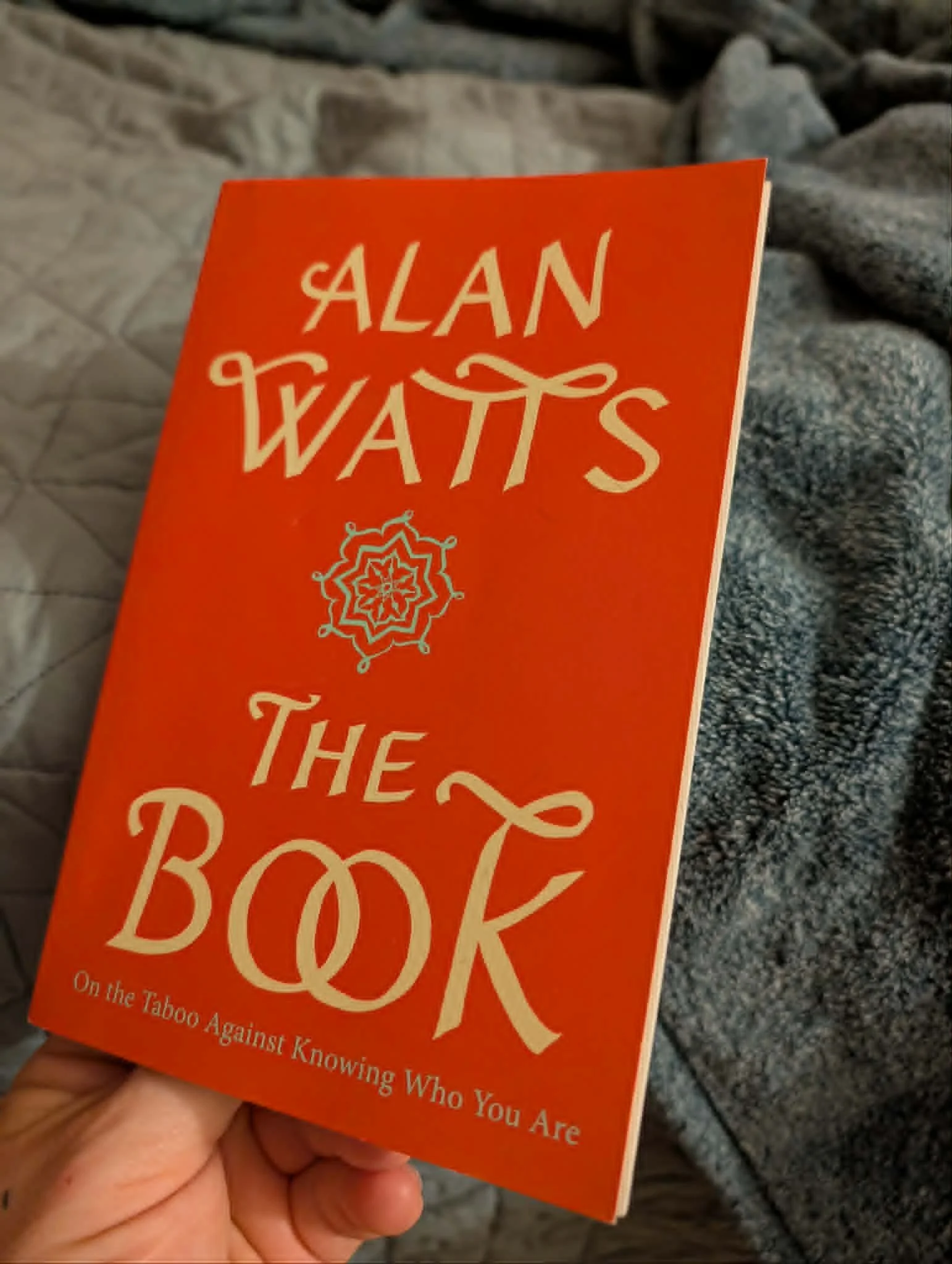 Let It Be: Finding Calm in the Chaos