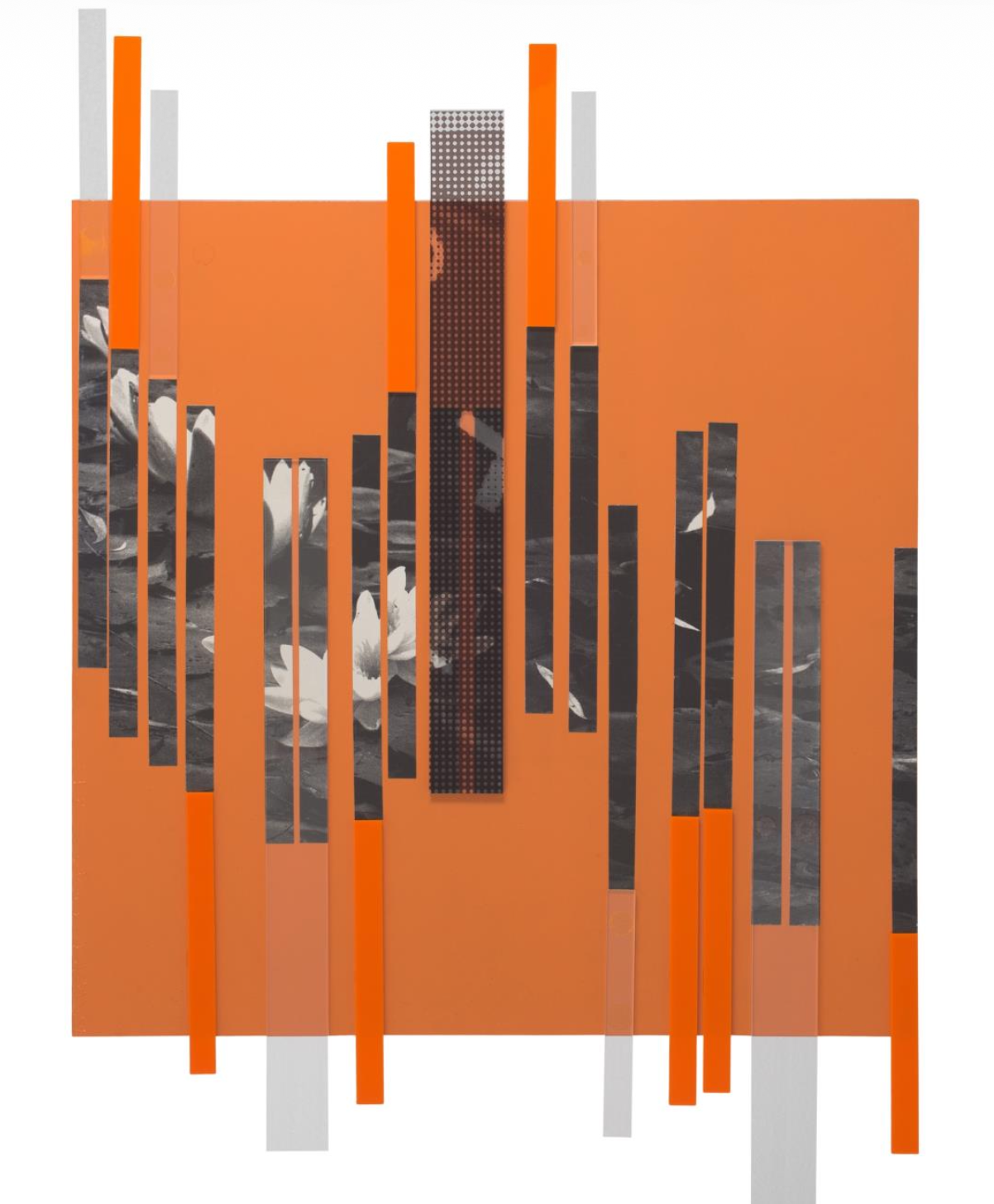 11jj Patricia Lopes.png