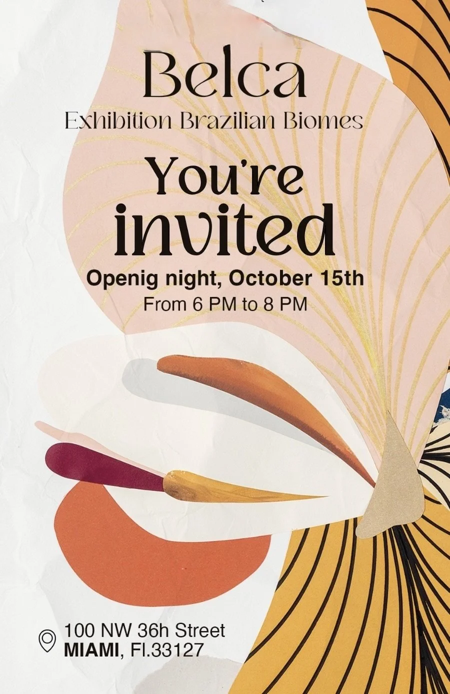 28 Brazilian Biomes Belca.jpg