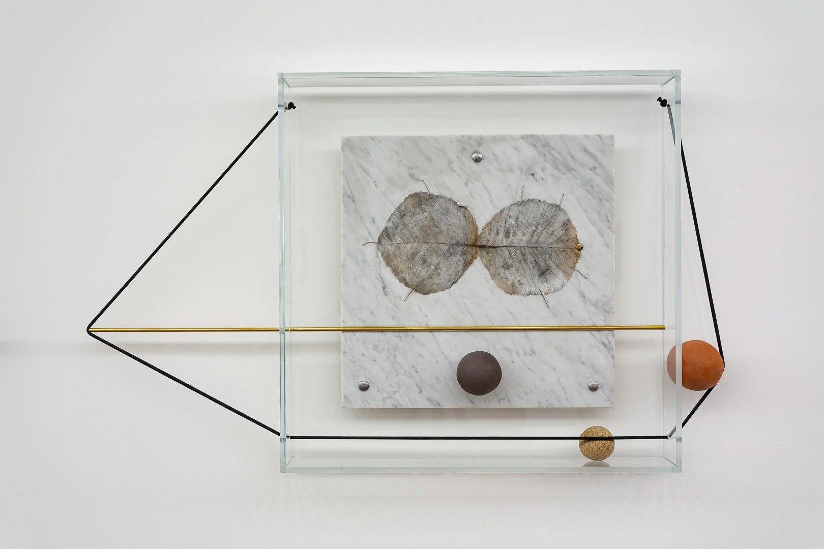 11bAdriana Vignoli.jpg