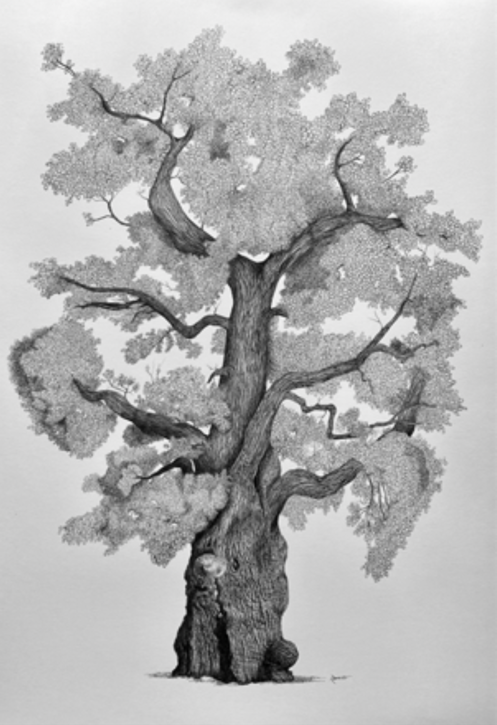 08a Daniel Rasello.png