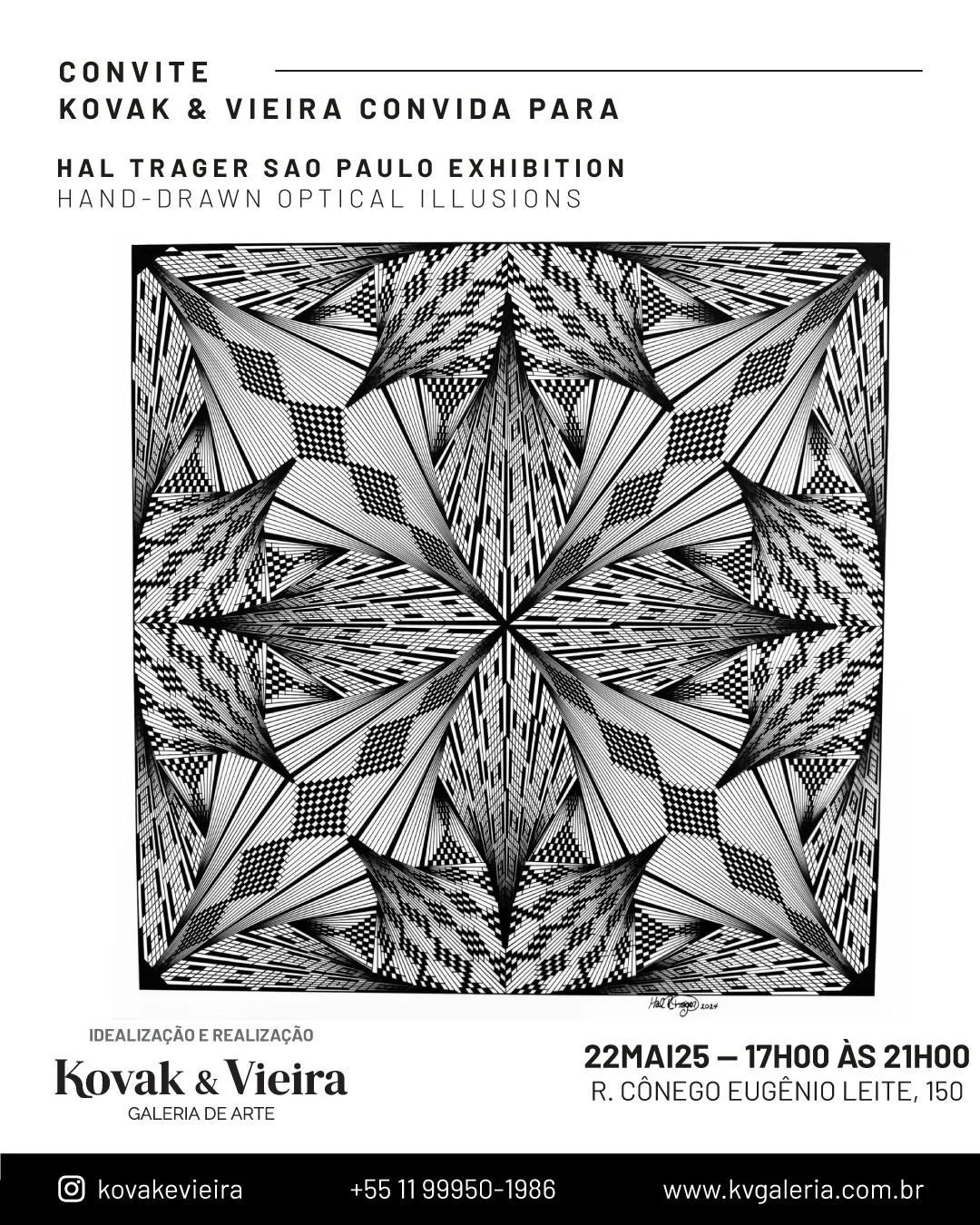 26 Optical Ilusions Hal Trager .jpg