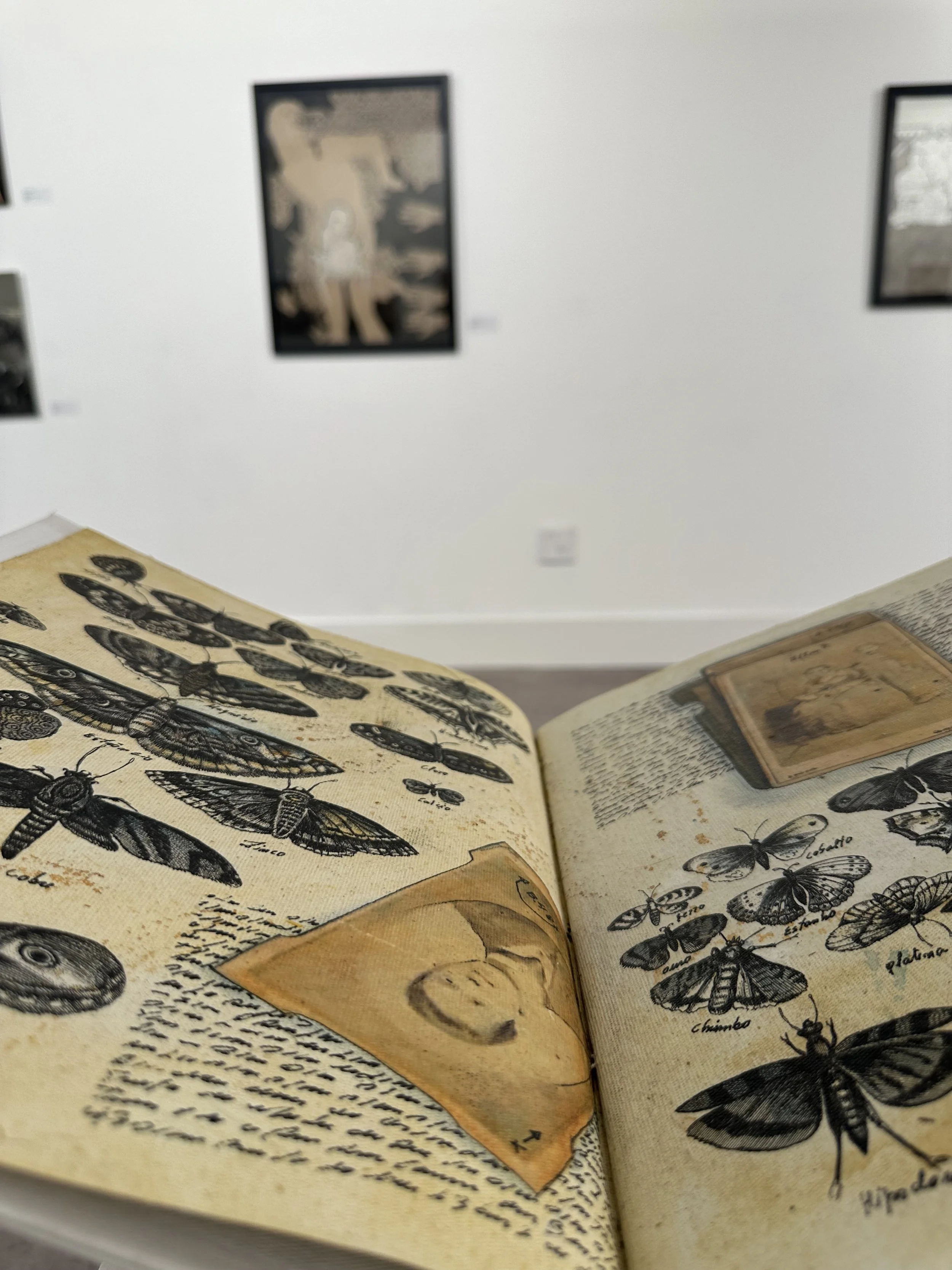 11 Miguel Gontijo.jpeg