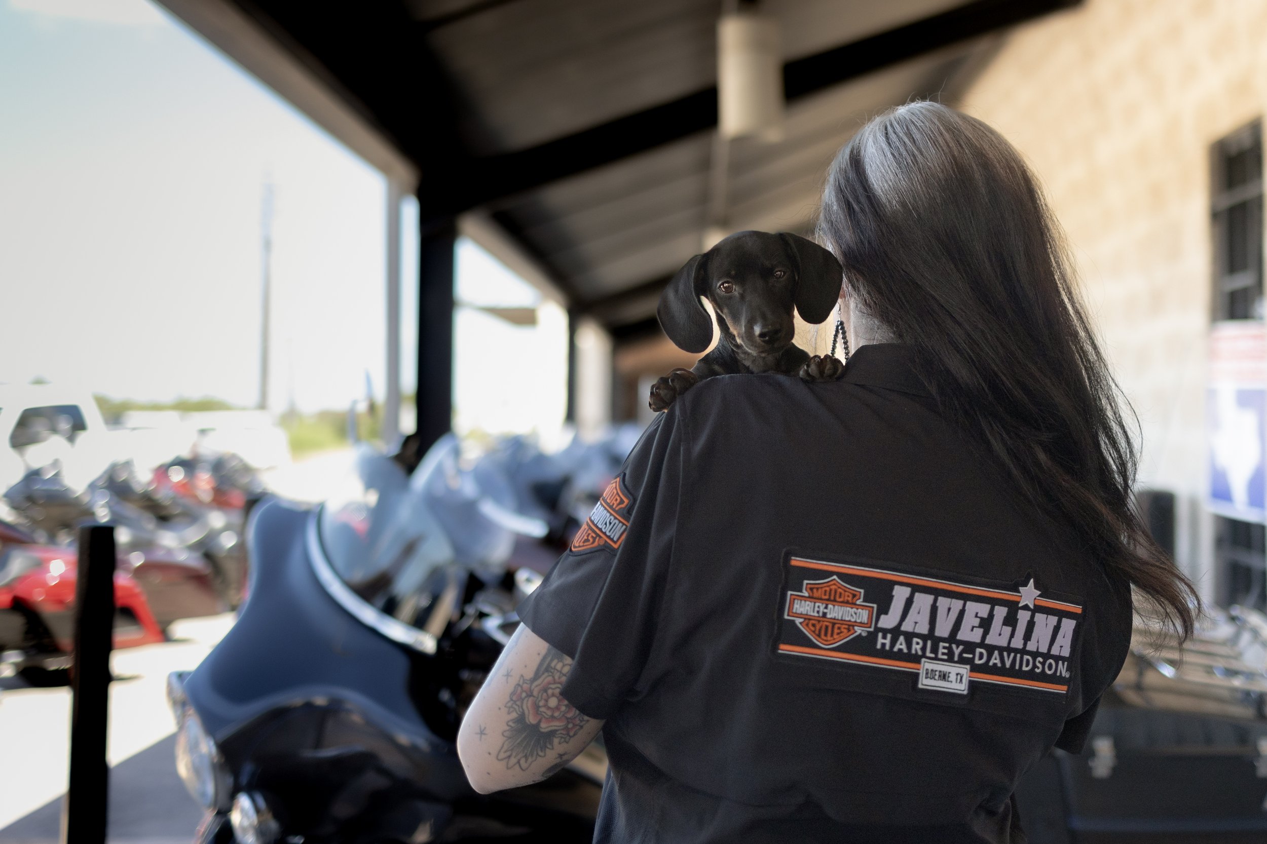 A woman with long gray hair and tattoos on her arm holding a small black dog on her shoulder, standing in front of motorcycles at a Harley-Davidson dealership.