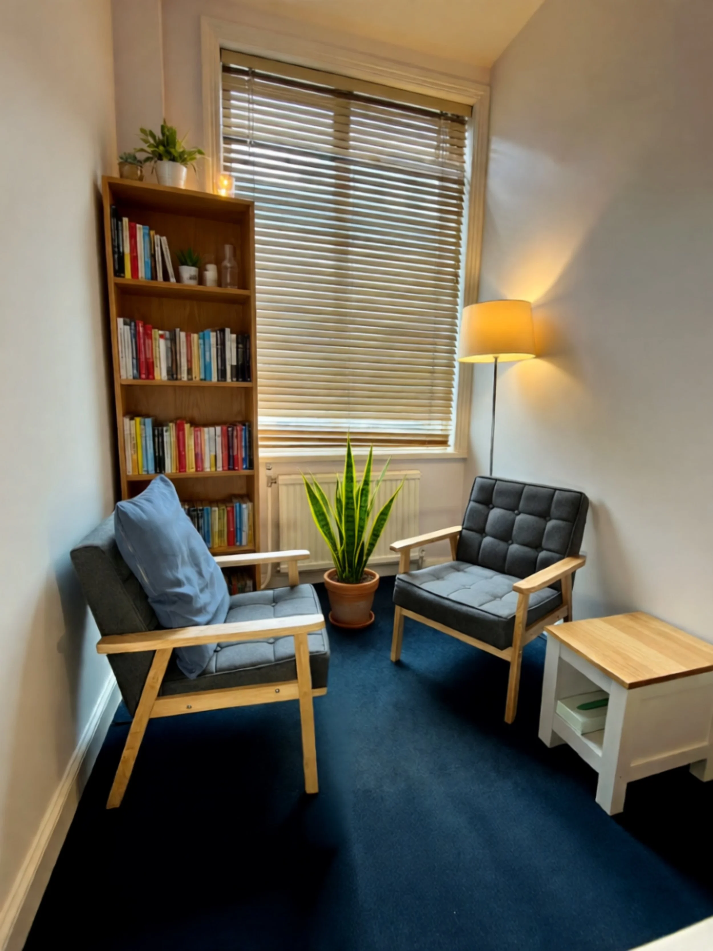 Mariana Aleksieva's nook with two black cushioned armchairs with light wooden frames, a potted snake plant between them, a white side table, a bookshelf filled with books, a window with closed blinds, a standing lamp, and a blue carpet.