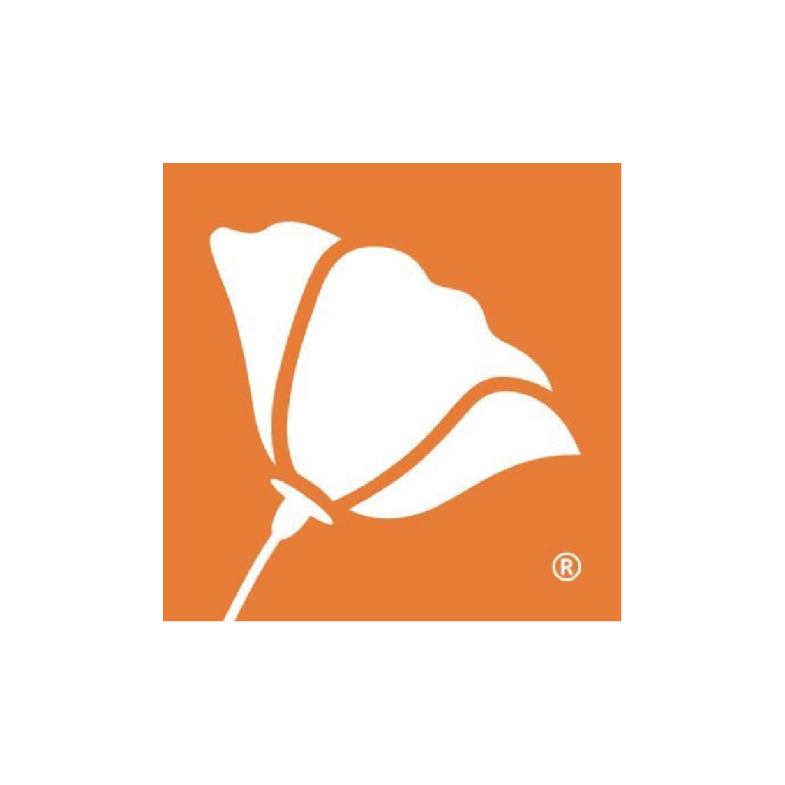 irvine foundation.png