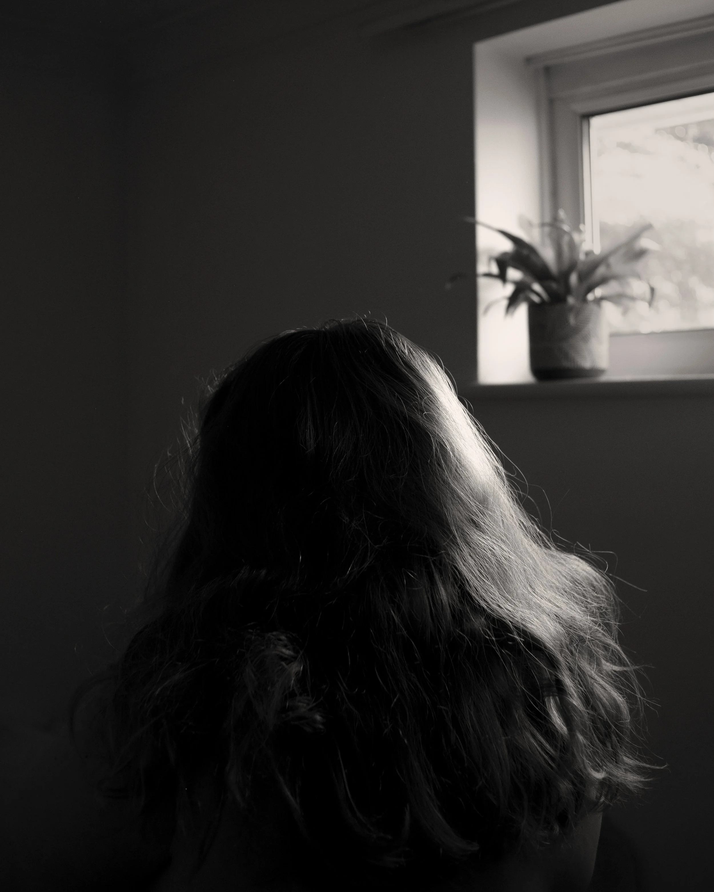 Black and white photo of a person with wavy hair sitting in a dimly lit room, looking out a window with a potted plant on the windowsill.