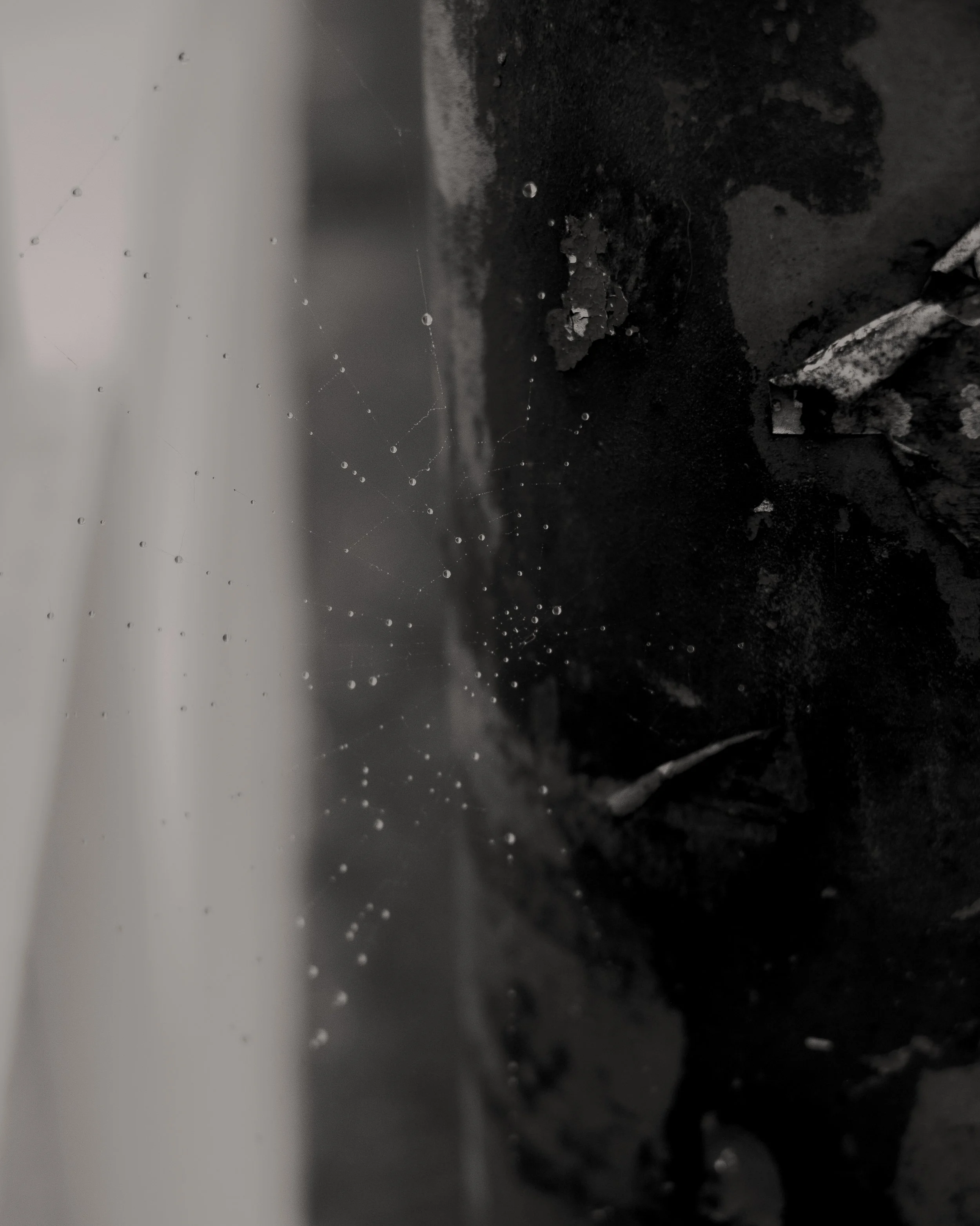 Close-up of a small spider web with water droplets on it, on dark and gritty background.
