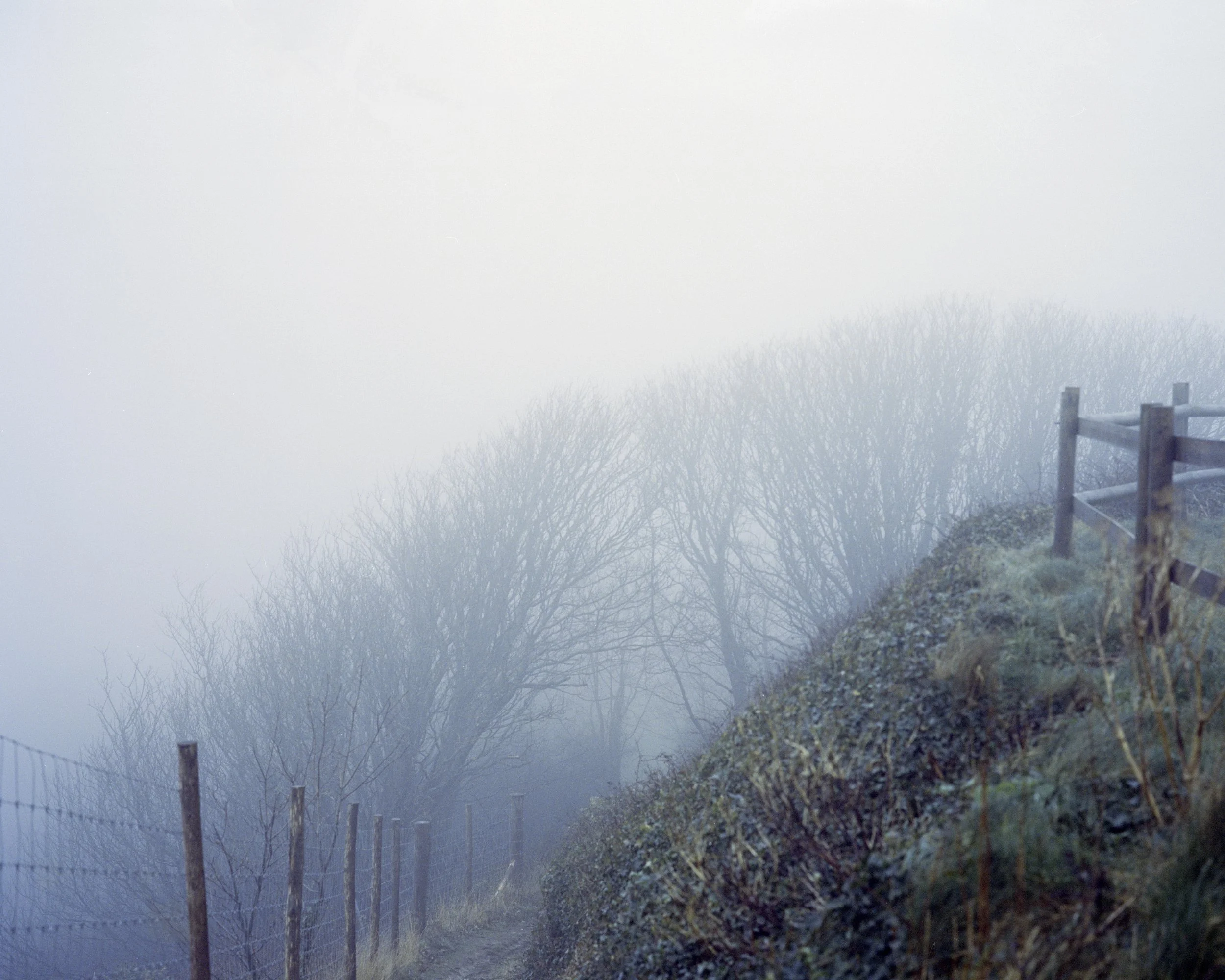 A foggy outdoor pathway with a wire fence on the left and a wooden fence on the right, with leafless trees in the background.