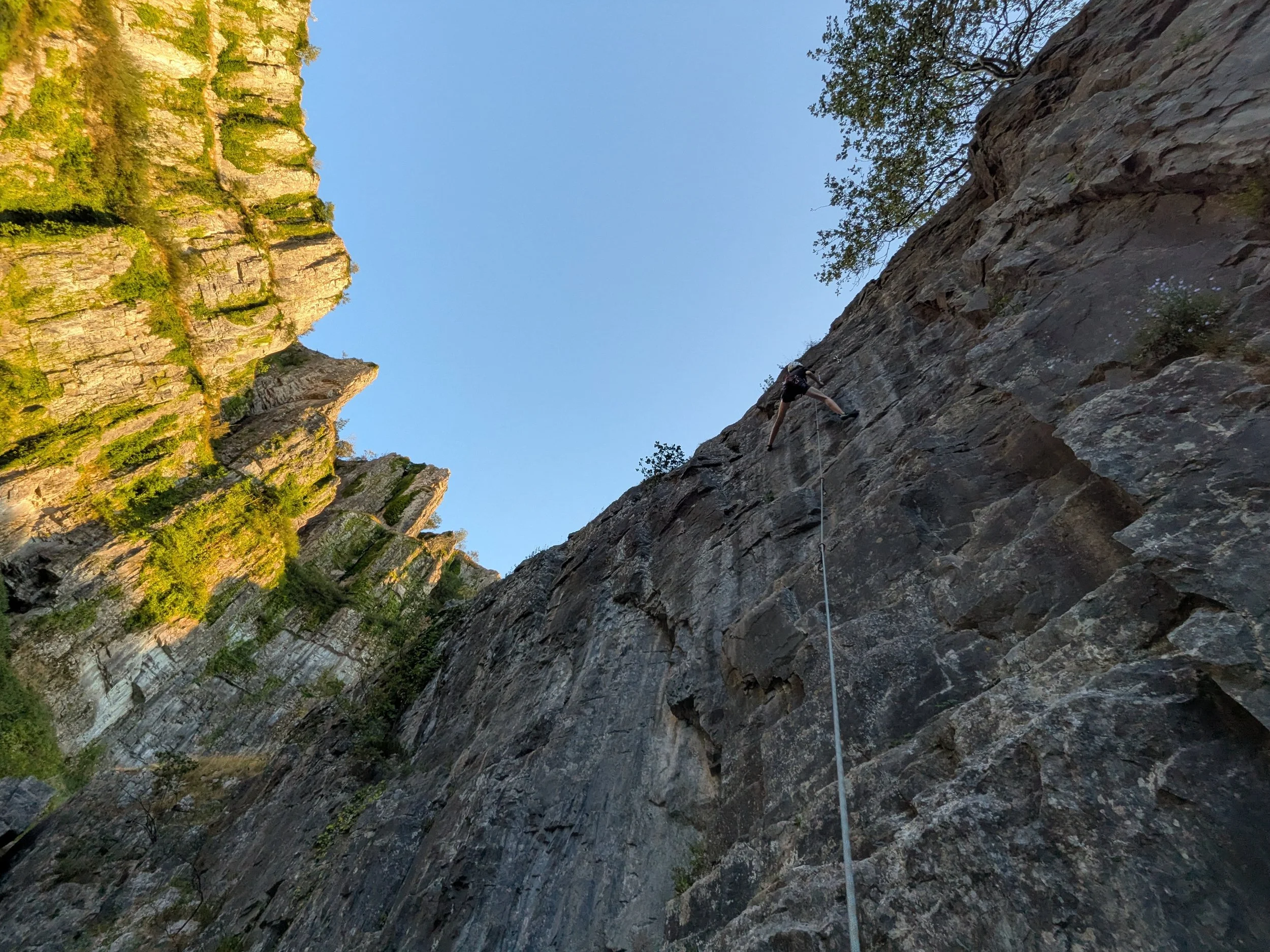 A person rock climbing on a vertical cliff face with a safety rope, using a clipr clip sticksurrounded by greenery and cliffs under a clear blue sky.