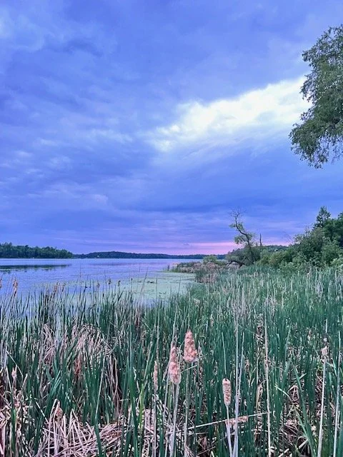 image4.jpeg
