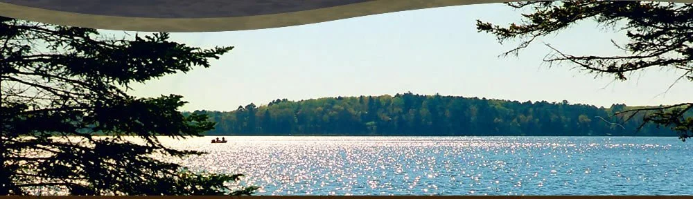 A lake with sunlight reflecting on the surface, flanked by trees in the foreground and a distant tree-lined shore.