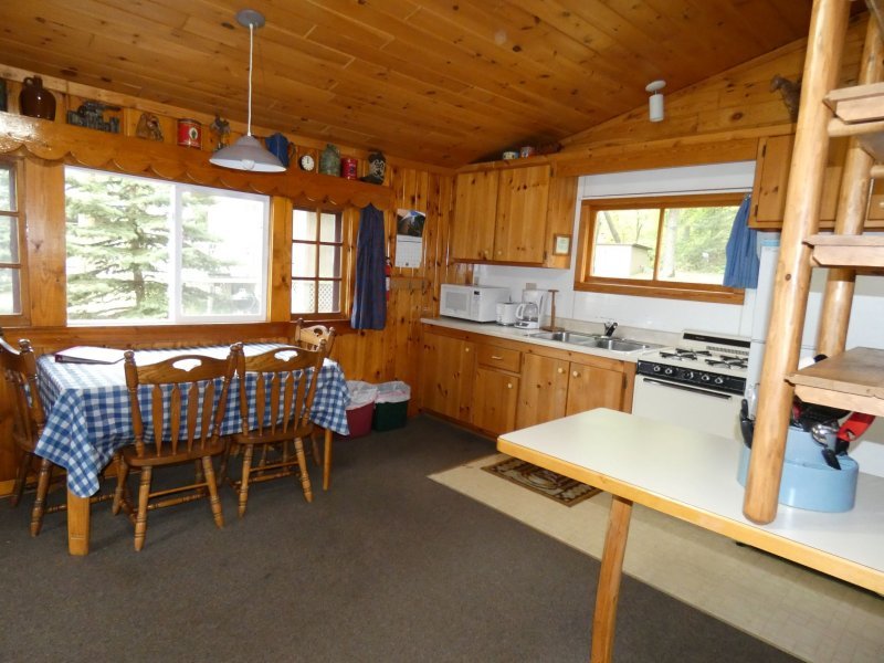 Wood-paneled kitchen and dining area with a window, a checkered tablecloth on the dining table, and wooden chairs, with kitchen appliances like microwave and stove along the wall.