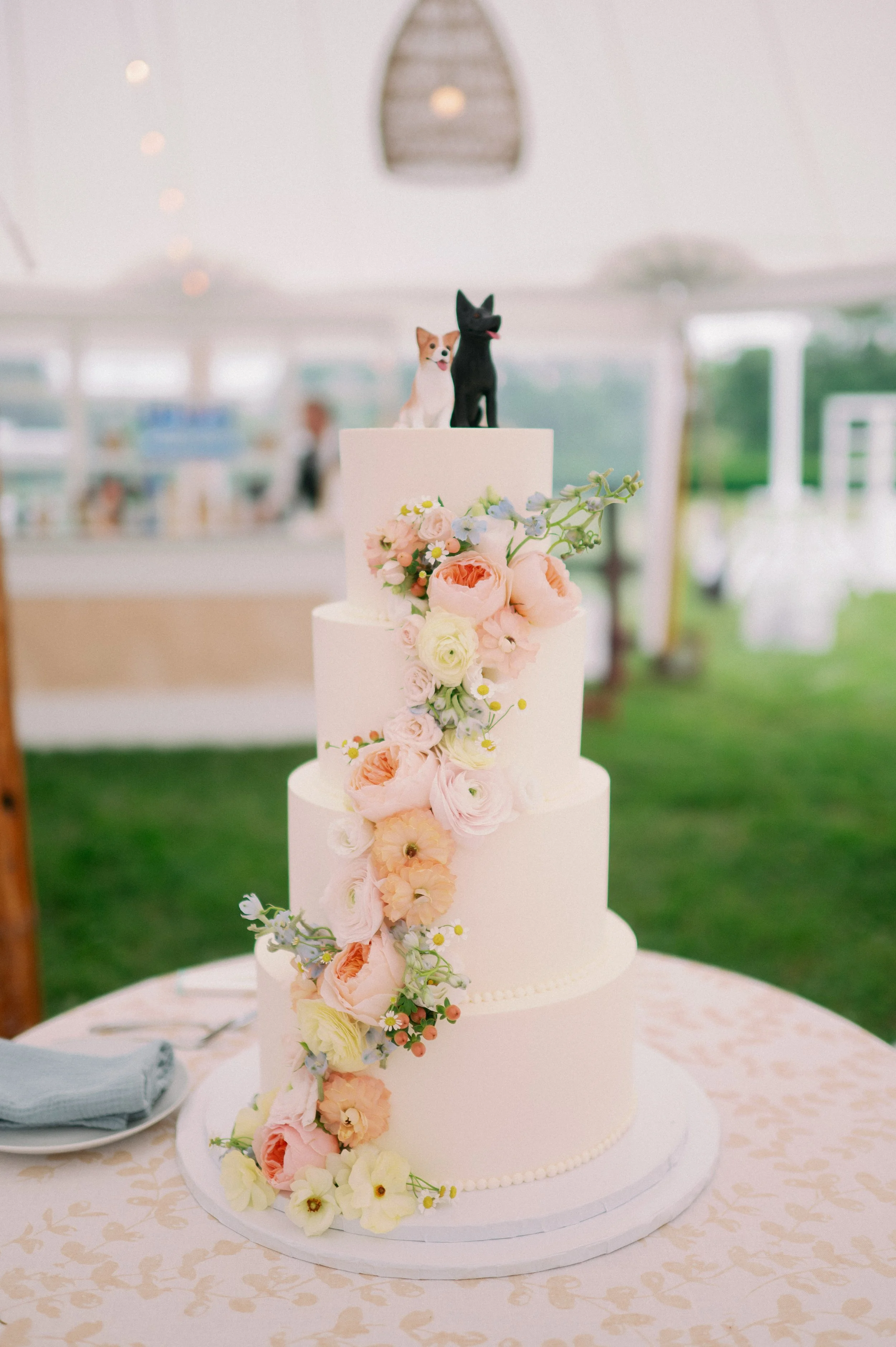 Catherine Band Photography