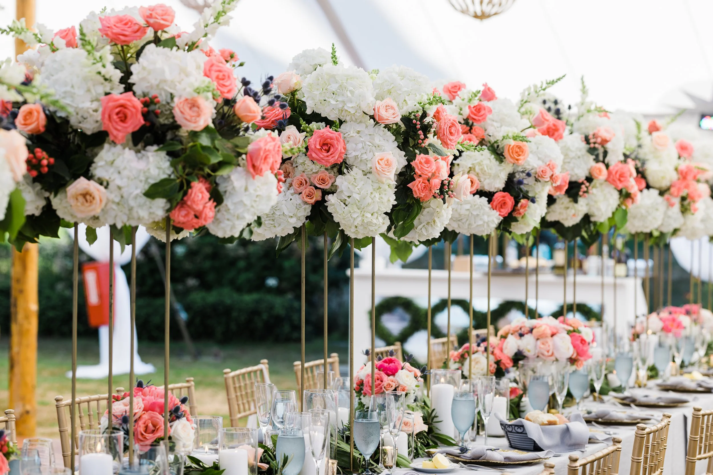 Matt Ferrara Photography