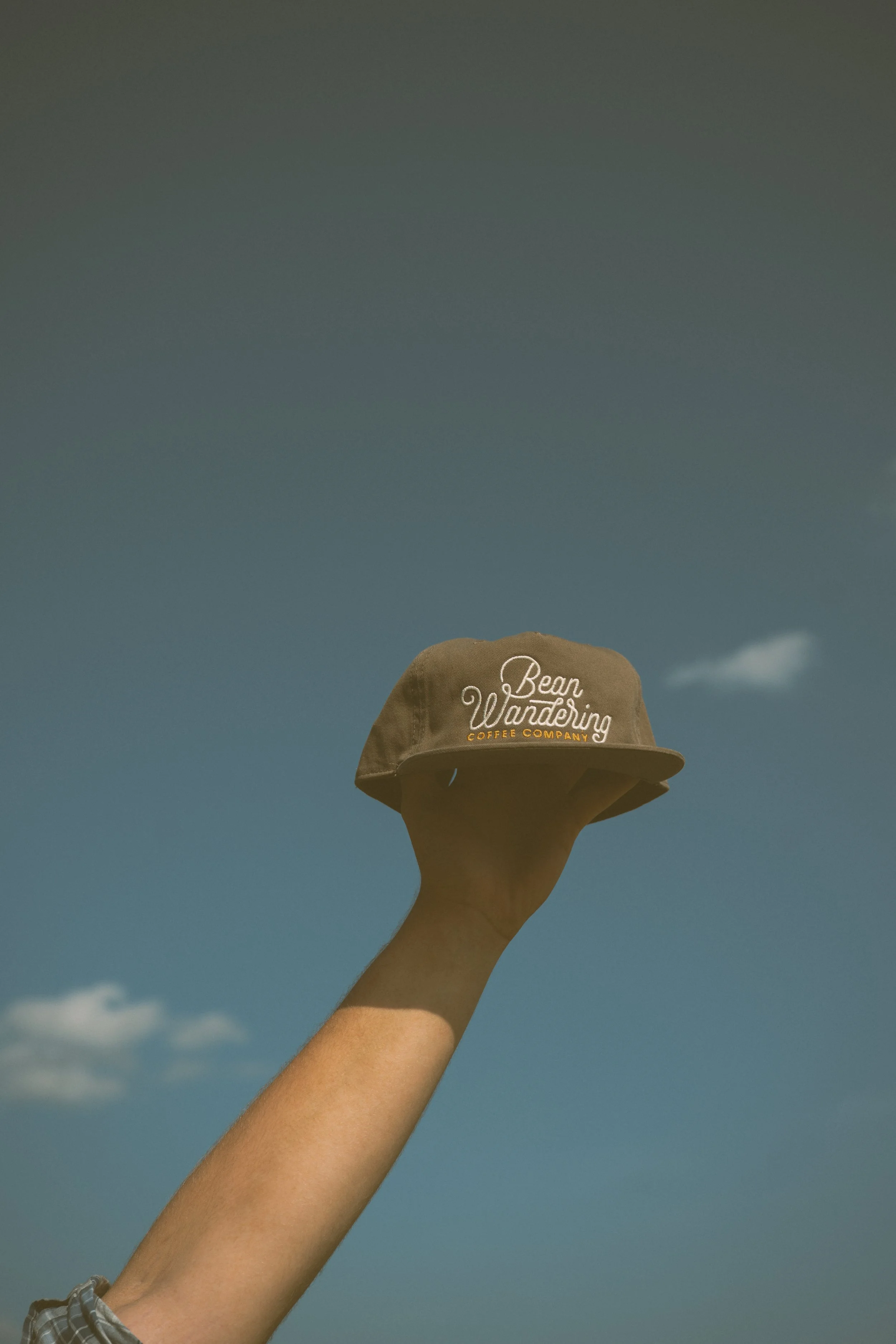 BALL CAP - WALNUT