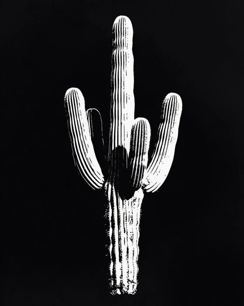 E140116.JPG