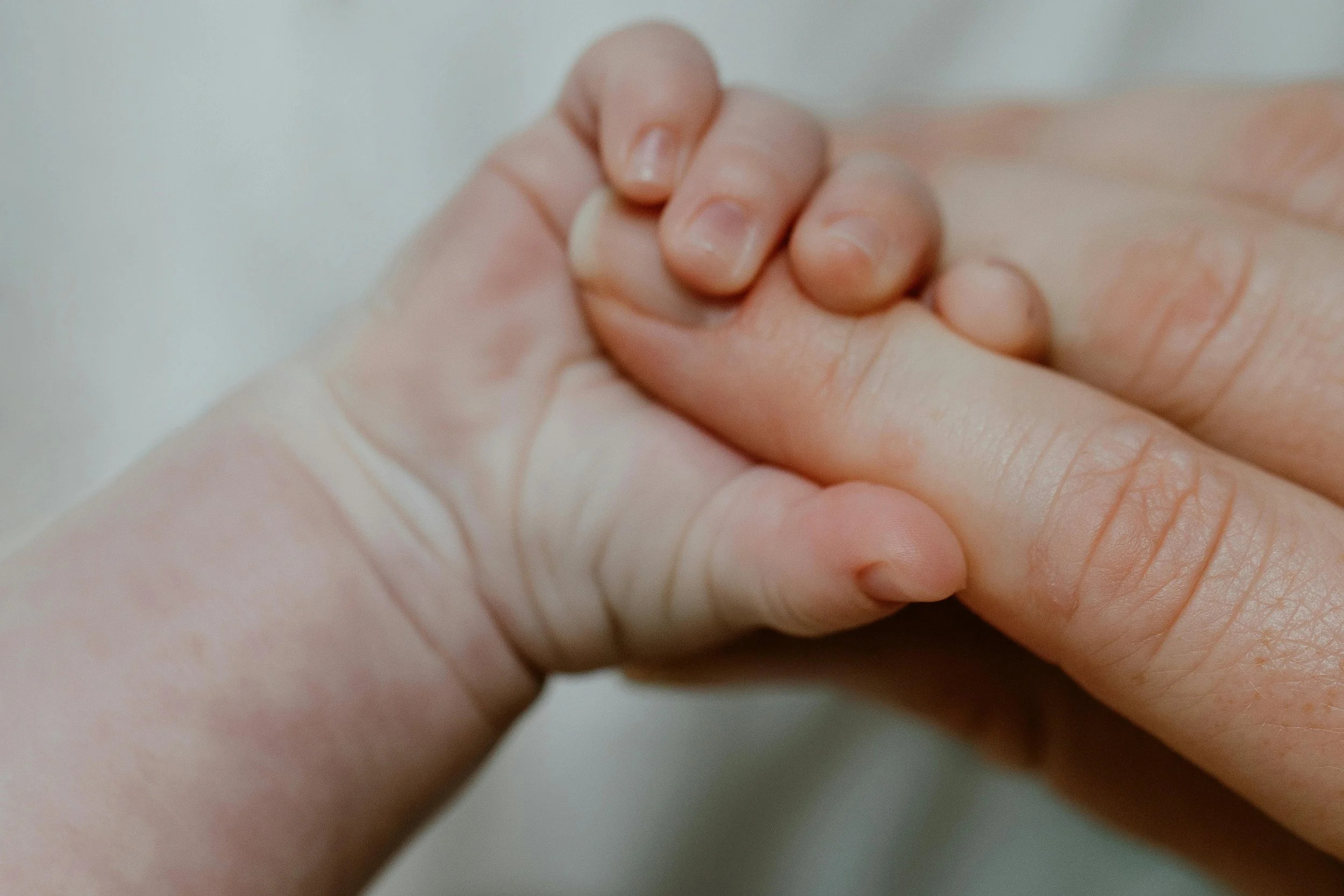 Close-up of an adult and baby hands holding each other.