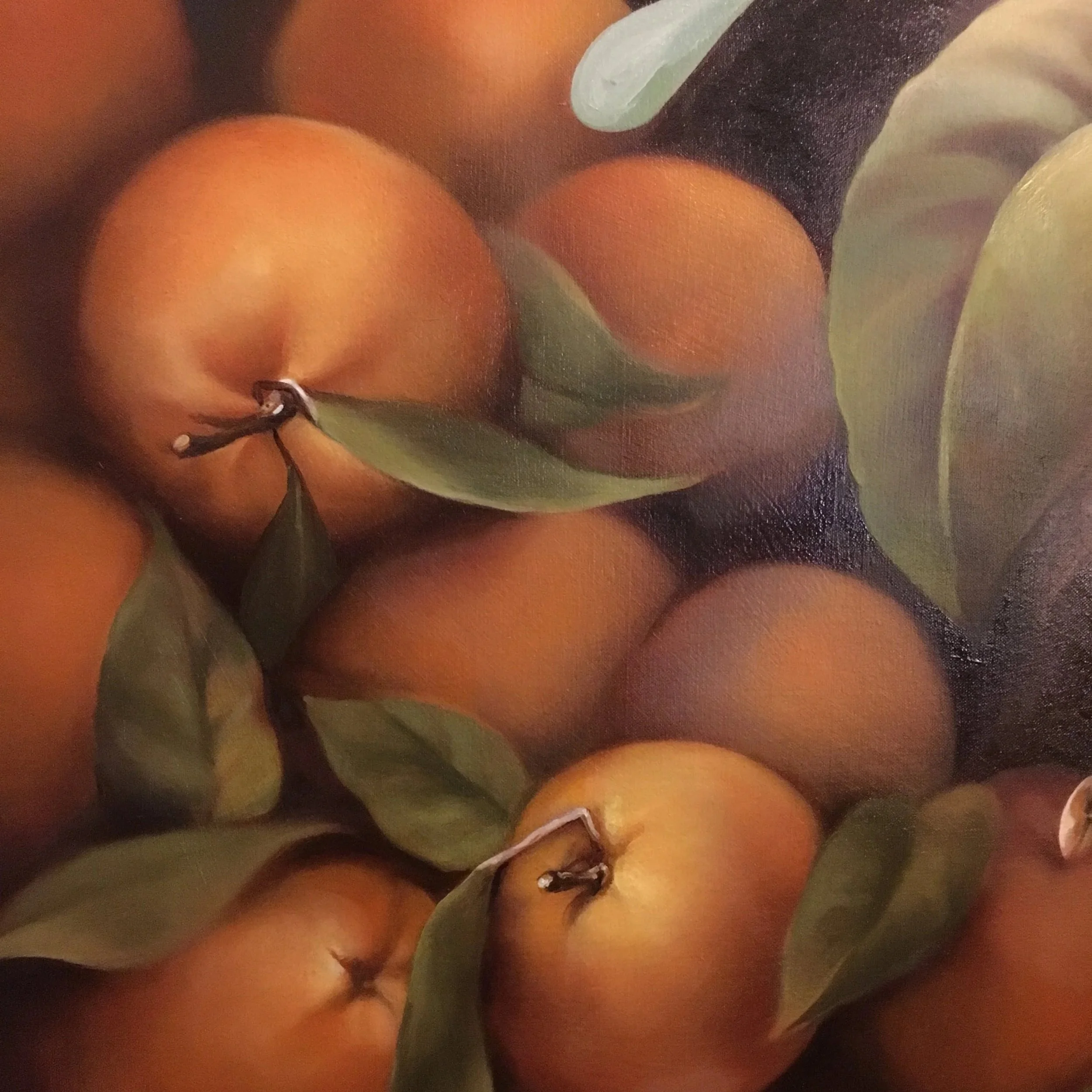 martin_commission_oranges_final.jpg