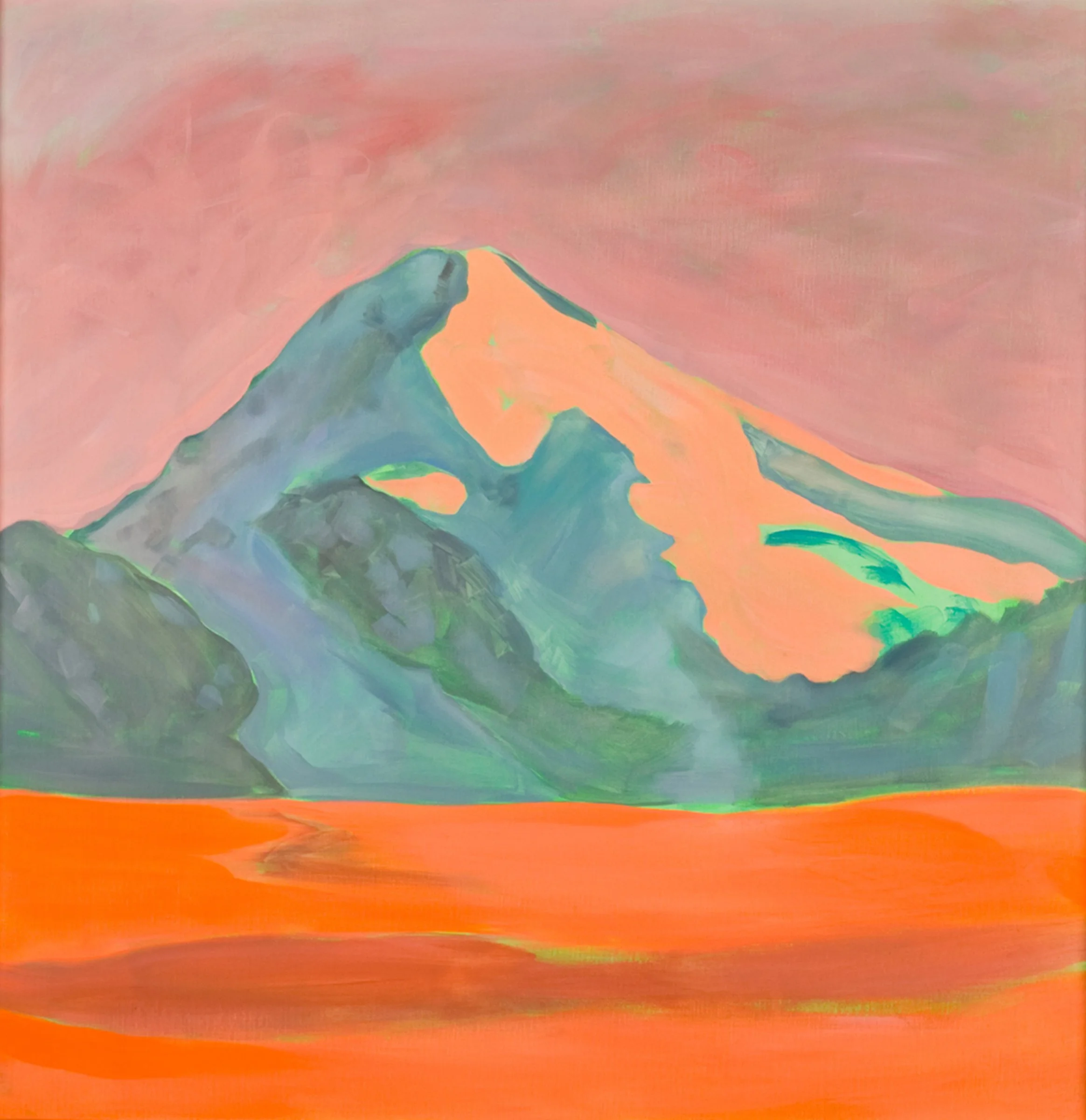 'Andes' Oil, fluorescent enamel on canvas
36" x 36" 2010