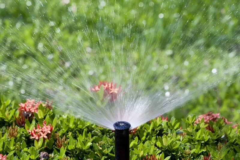 A garden sprinkler spraying water over green bushes with pink flowers.