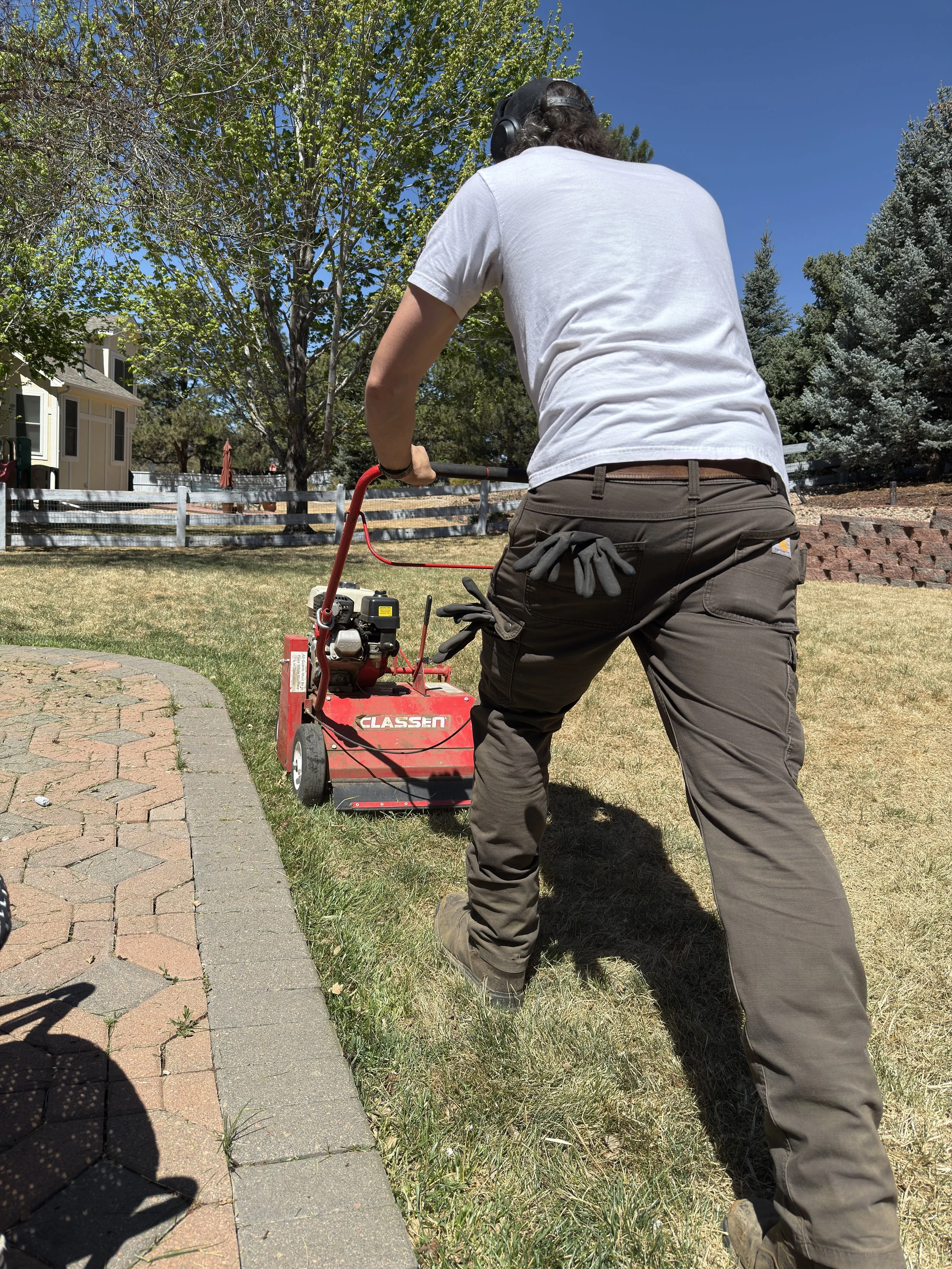Big Sam operating a professional-grade power rake to remove thick lawn thatch in Littleton, CO. This high-intensity dethatching service clears out debris to help Colorado grass absorb water and nutrients more effectively.