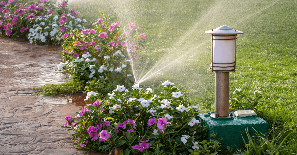 Garden sprinkler watering colorful flowers along a stone pathway and grass lawn.