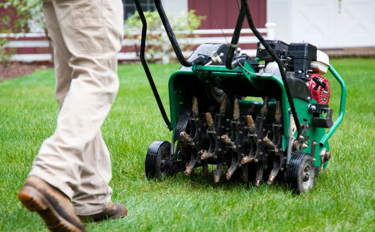 Professional core aeration service in Littleton, CO. A gas-powered lawn aerator pulling deep soil plugs to relieve compaction and improve root health for a residential Colorado lawn.