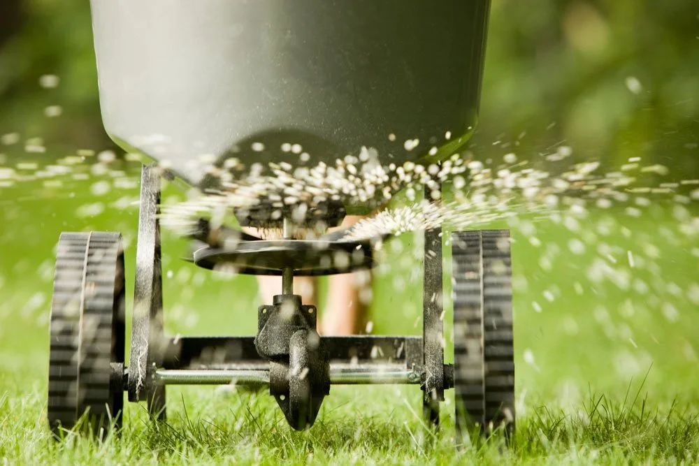 Professional lawn seeding and fertilizing in Littleton, CO. Big Sam using a precision broadcast spreader to apply RTF Water Saver seed and high-quality fertilizer for a thick, green, and drought-resistant residential lawn.