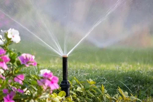 A sprinkler watering pink and purple flowers in a garden.