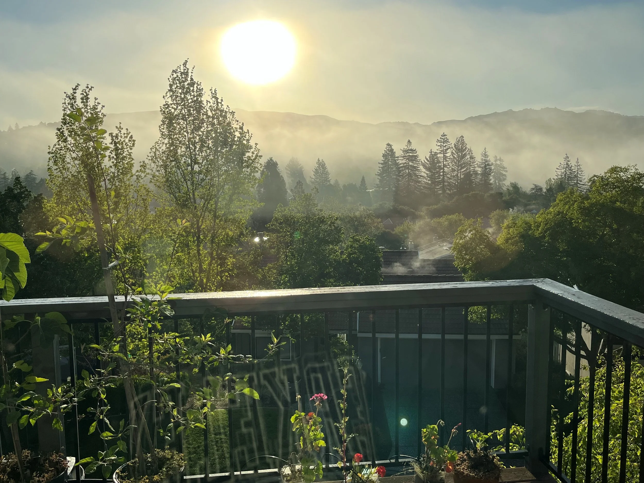 Sun rising over a misty, forested mountain landscape viewed from a balcony with a railing and potted plants.