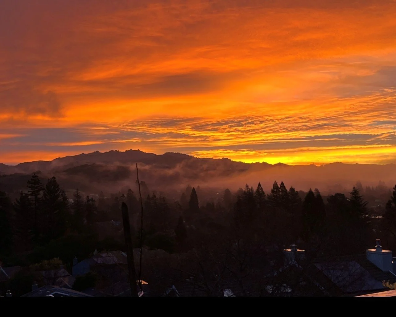 Sunset over a mountain range with orange, yellow, and purple clouds, with a misty forest and rooftops in the foreground.