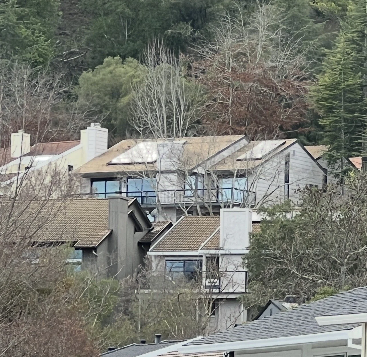 Residential houses in a hilly area with trees and a forested background, some trees without leaves and others with green foliage.