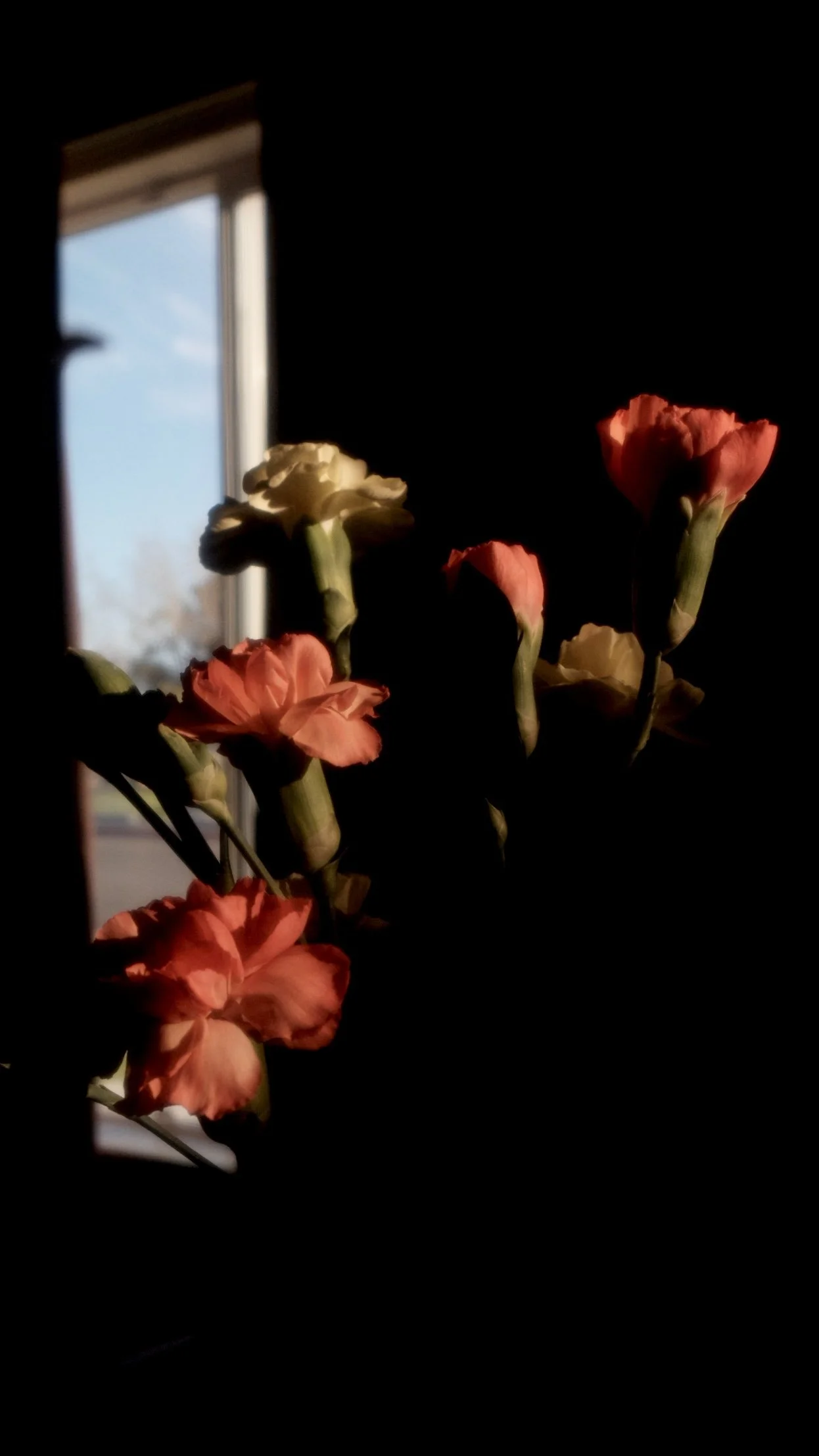 ILYM0751.JPG