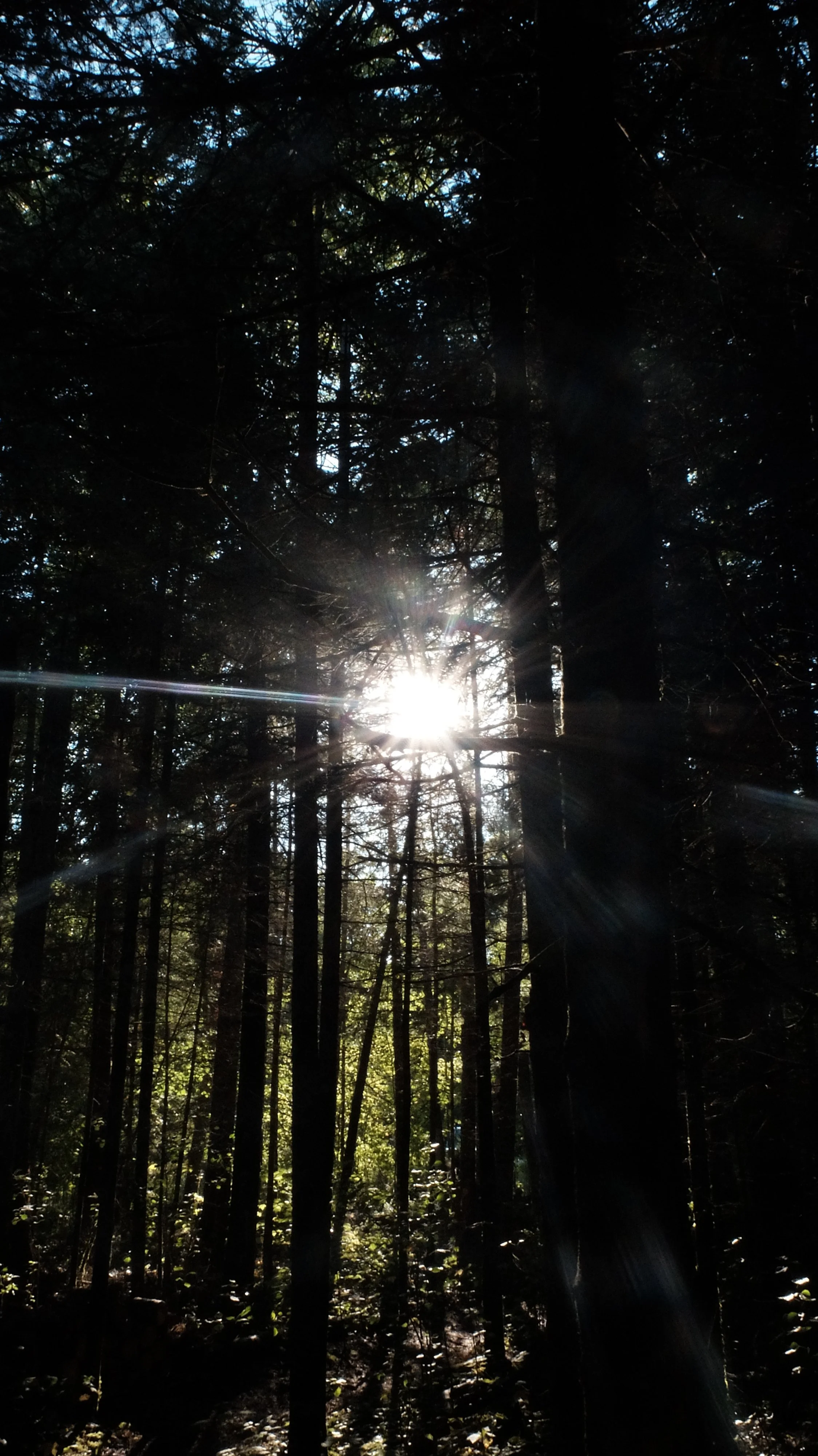 DSCF9229.JPG