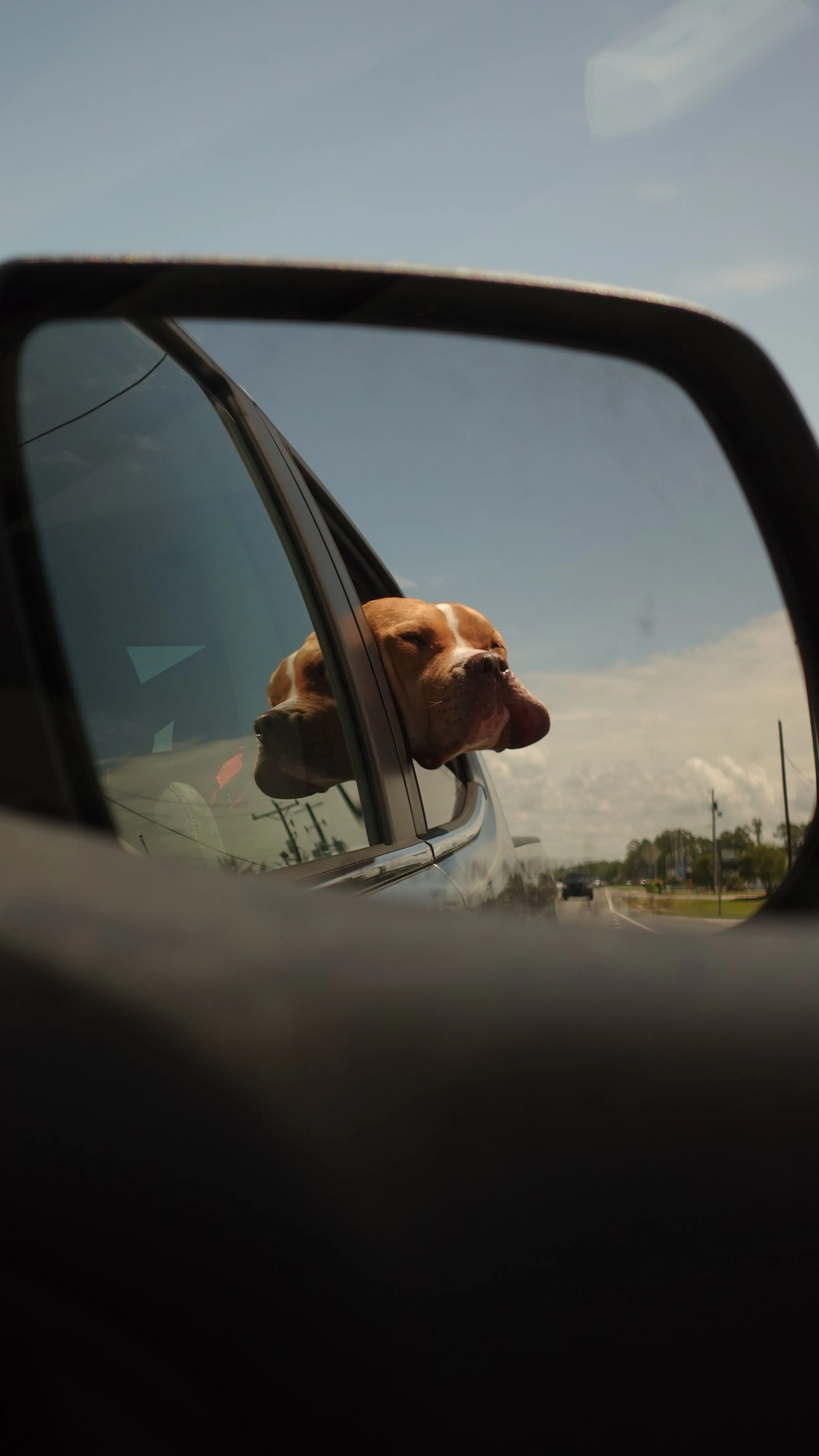DSC02412.jpeg