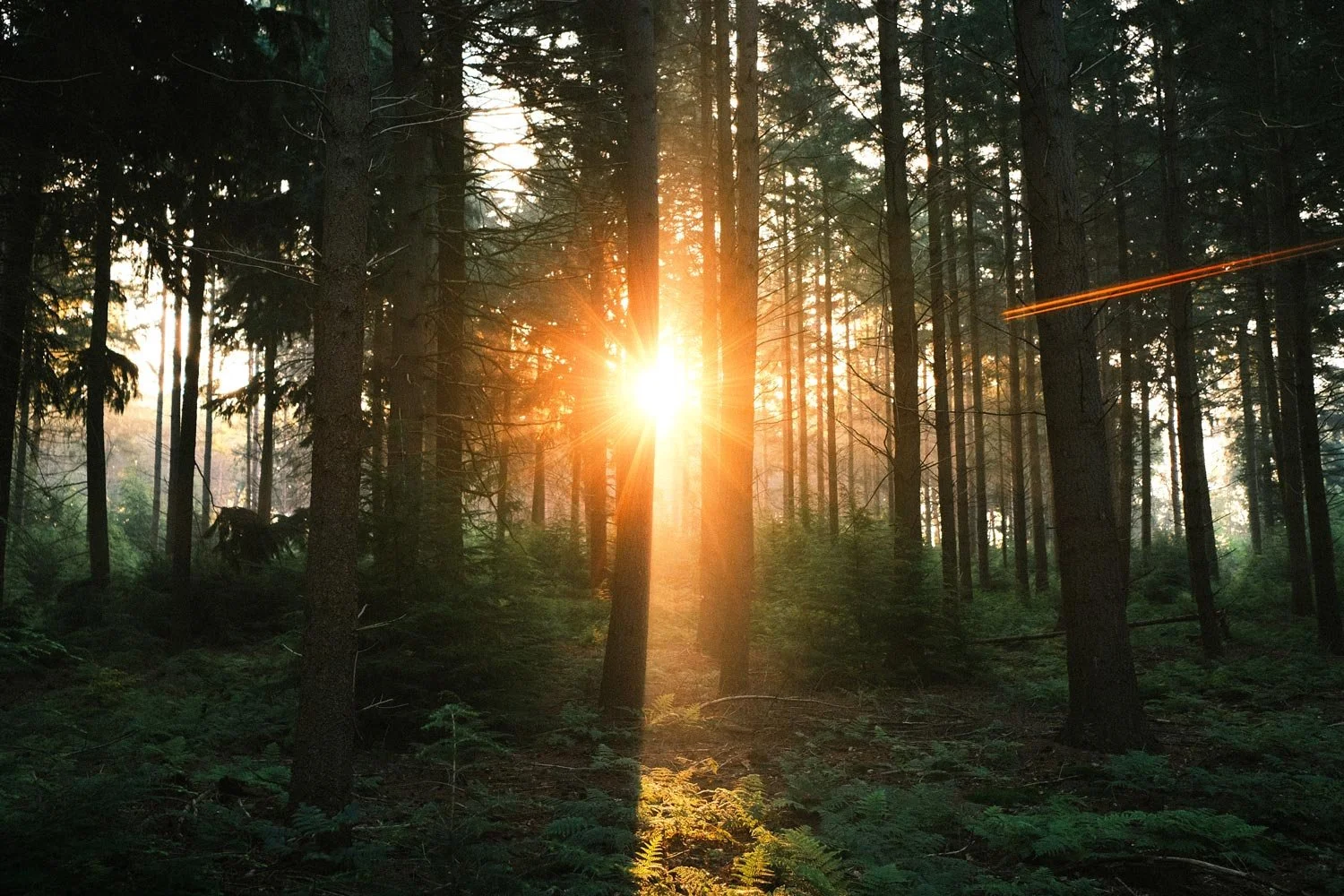 SB Counselling & Wellness Services | Ontario Registered Social Worker | Sudhir Basumatary