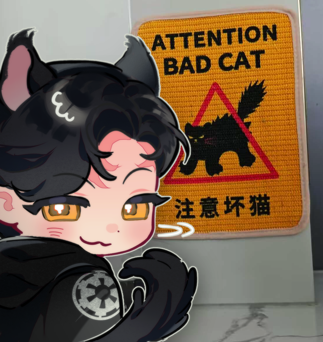 小心坏猫2.png
