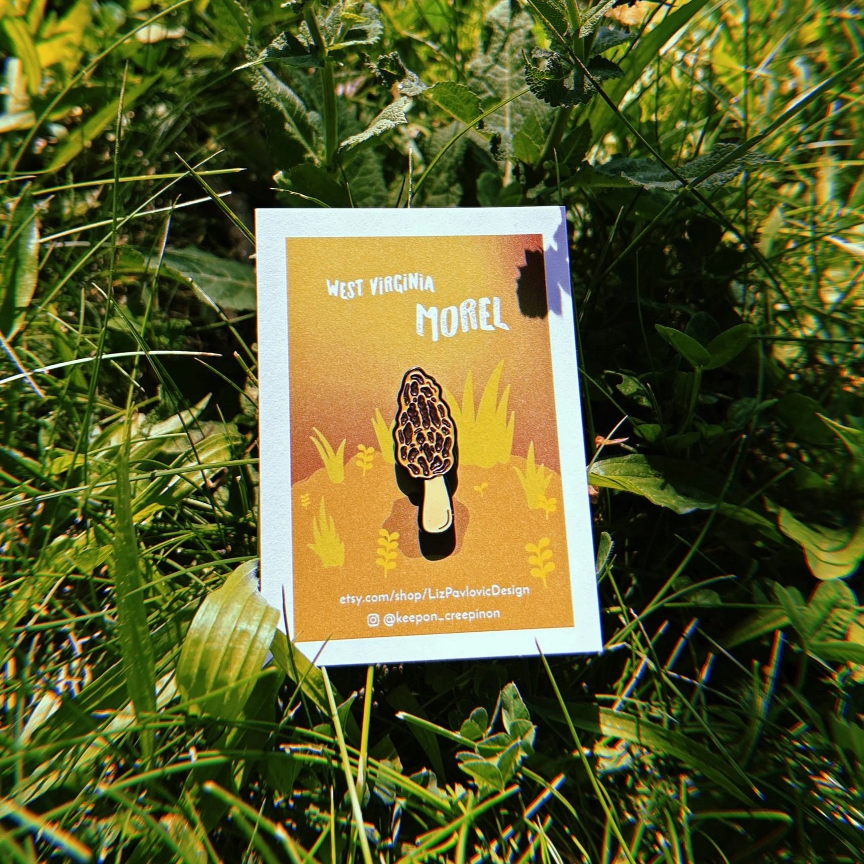 morel+pin+2.jpg