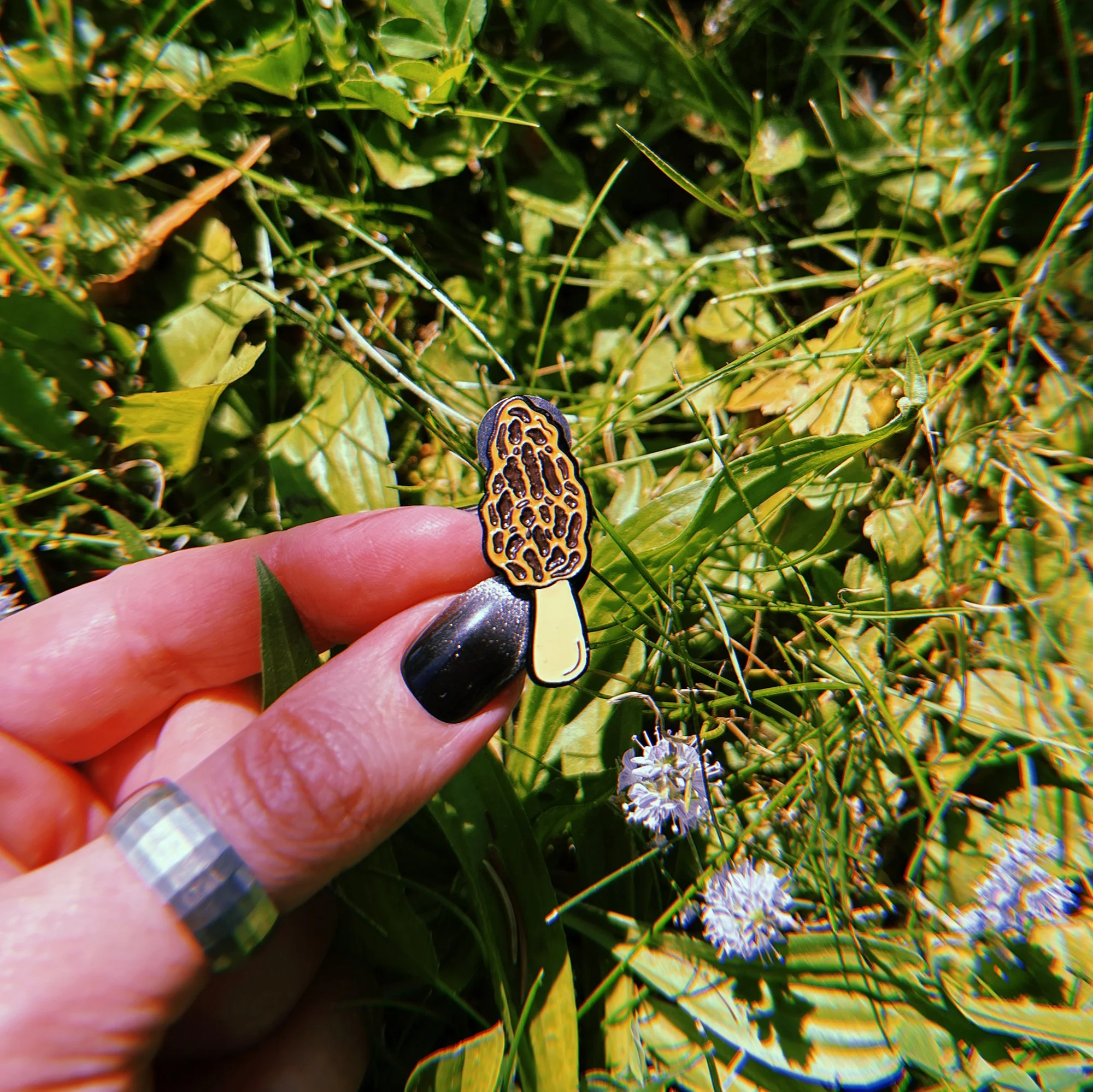 morel pin 3.jpg