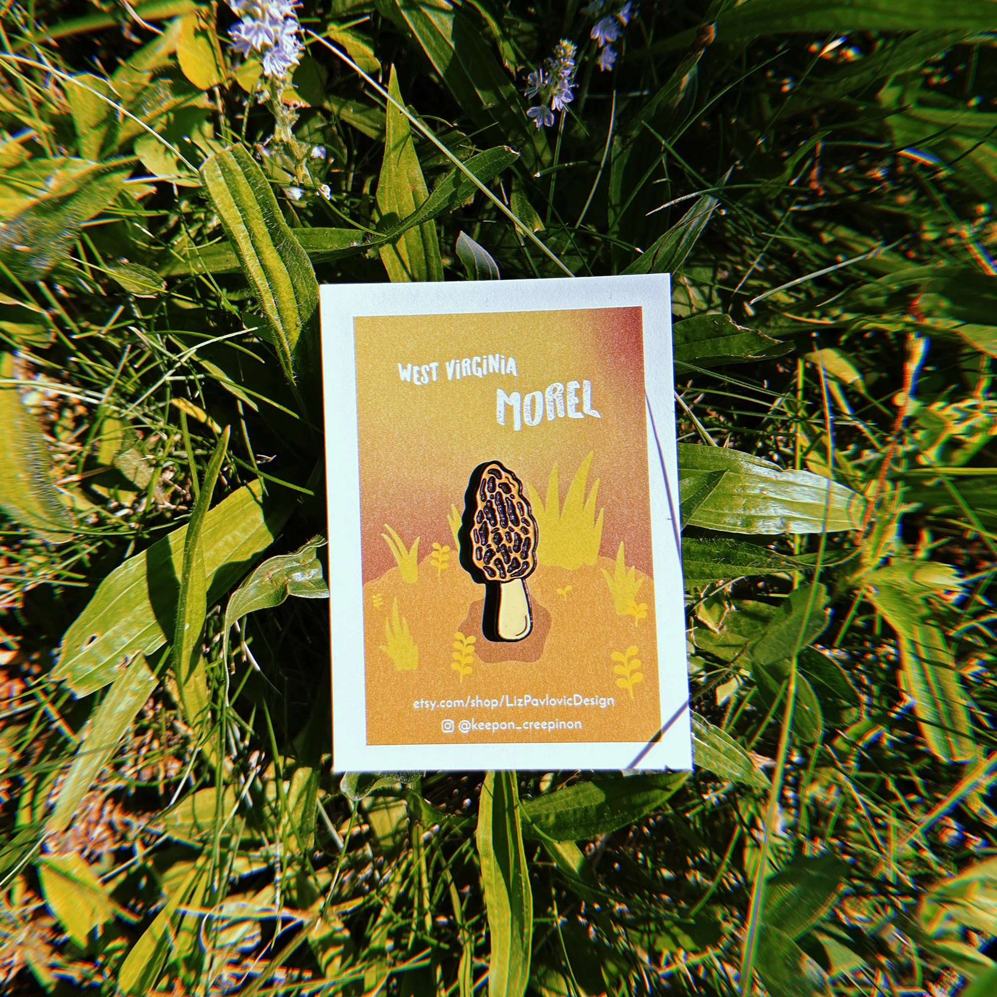 morel pin 1.jpg